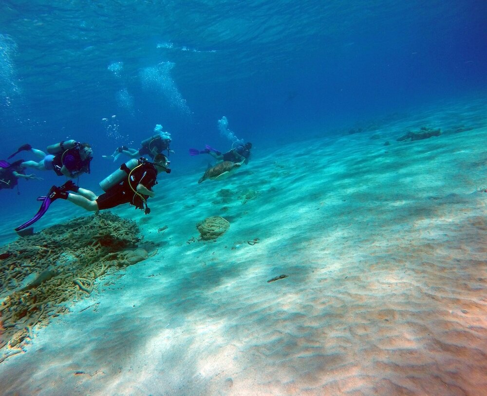 Фото Rancho El Sobrino