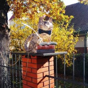 Фото Лермонтовский