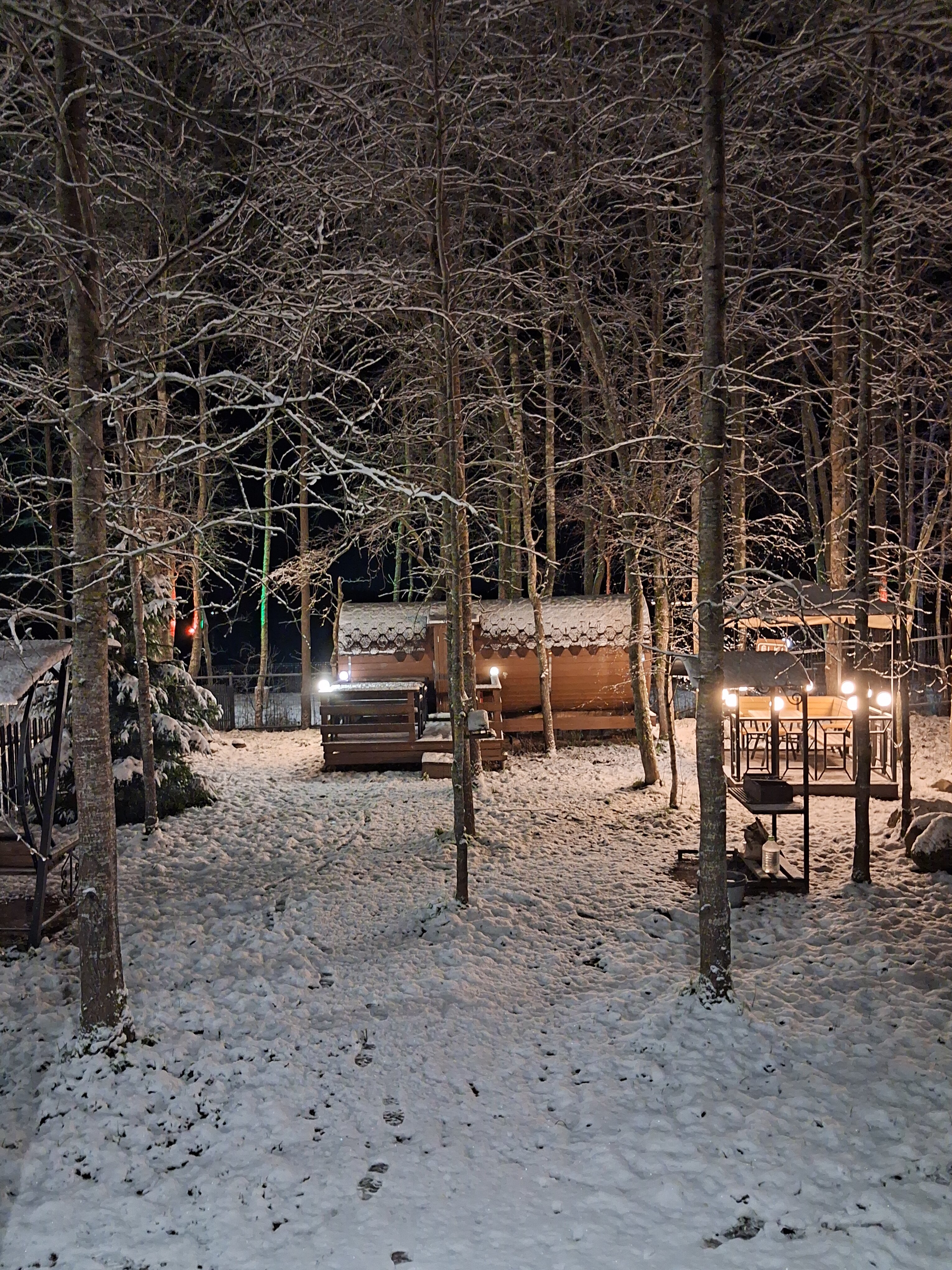 Фото Ёlki в Правдинское озеро