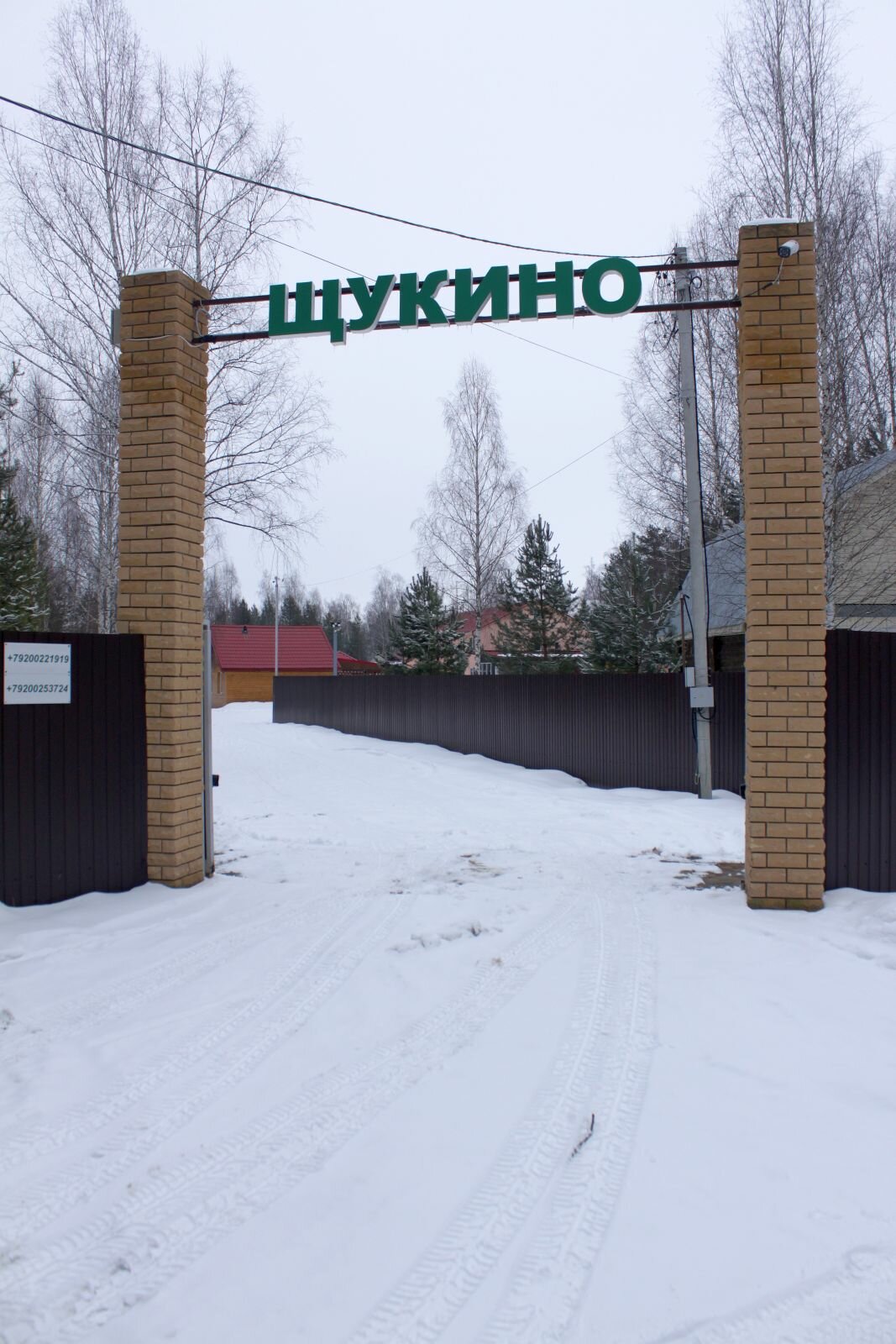 Фото Щукино