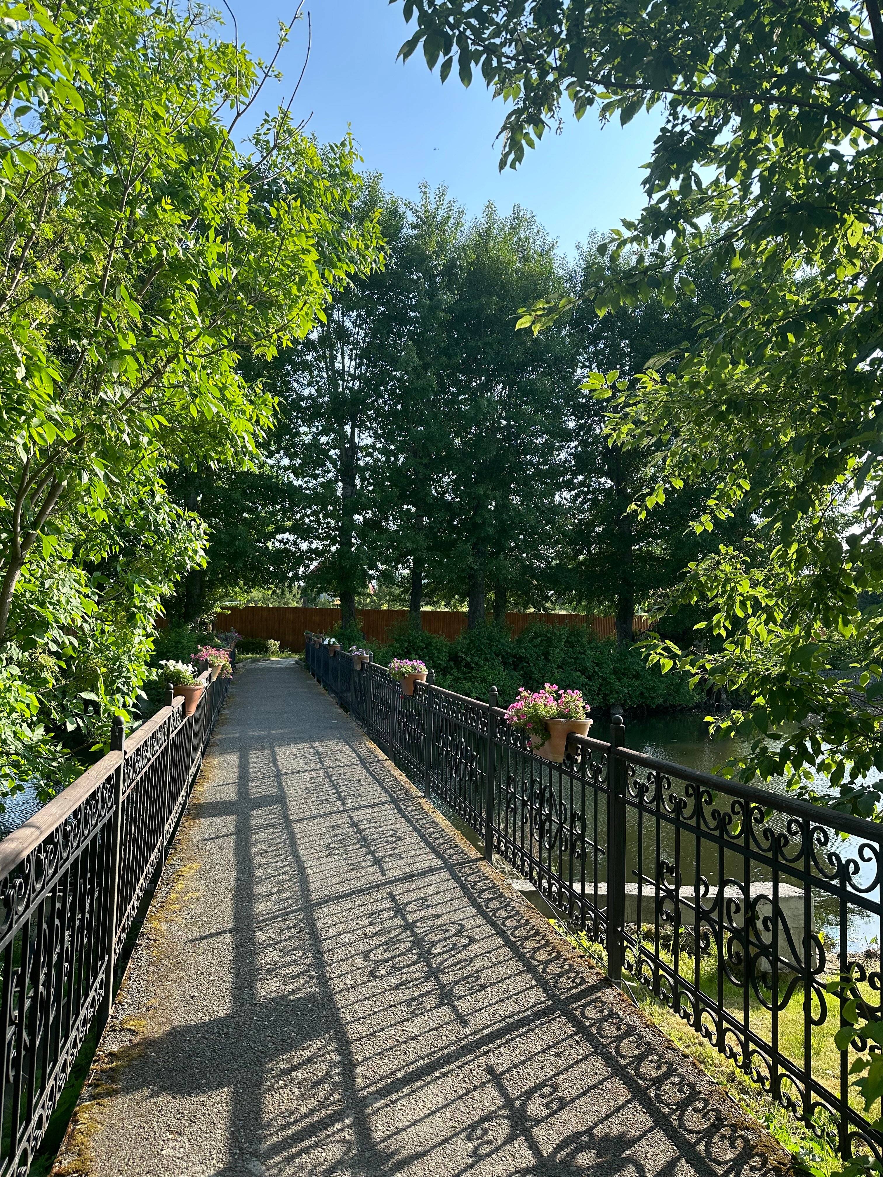 Фото Раздолье