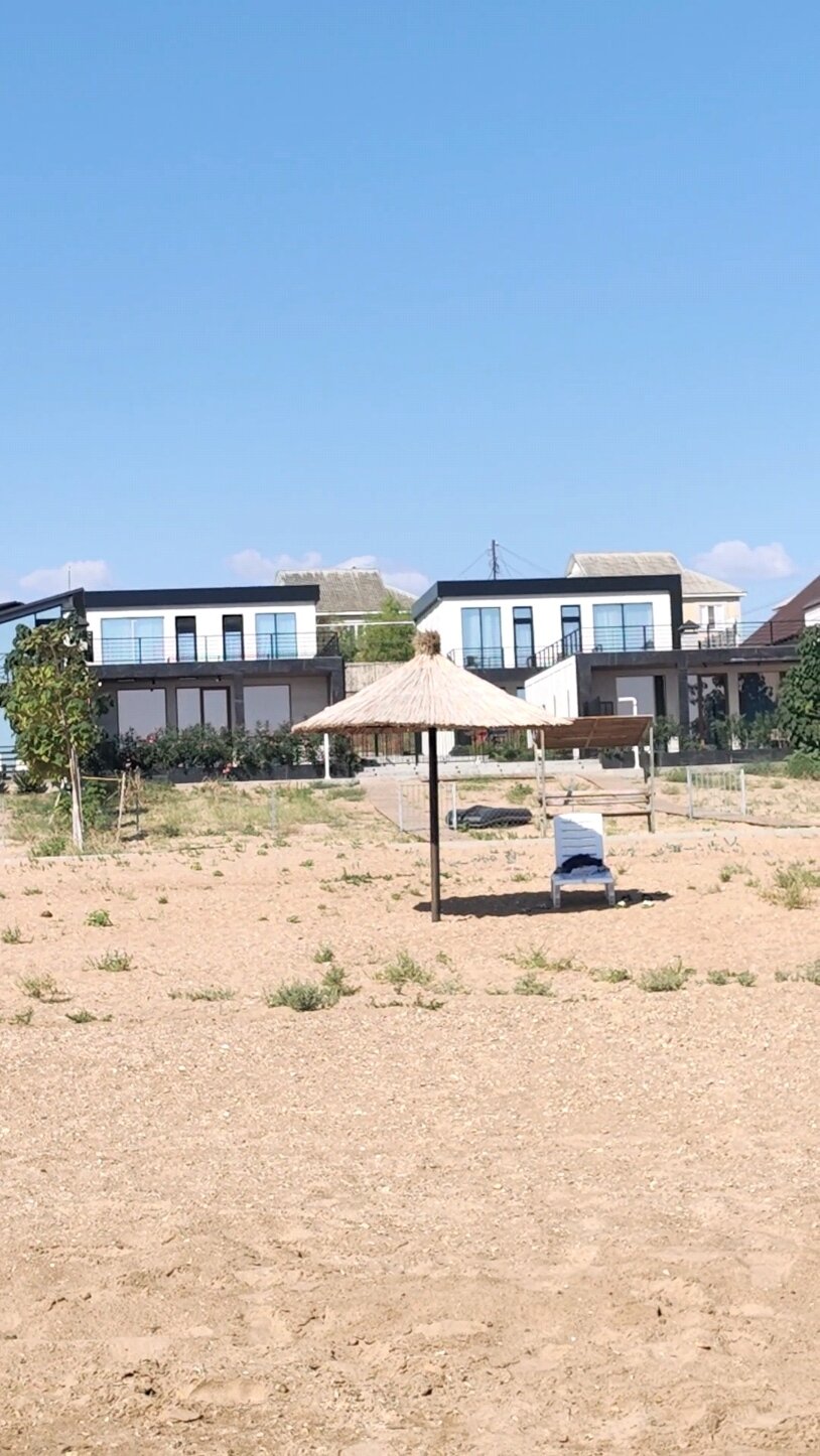 Фото Павлония