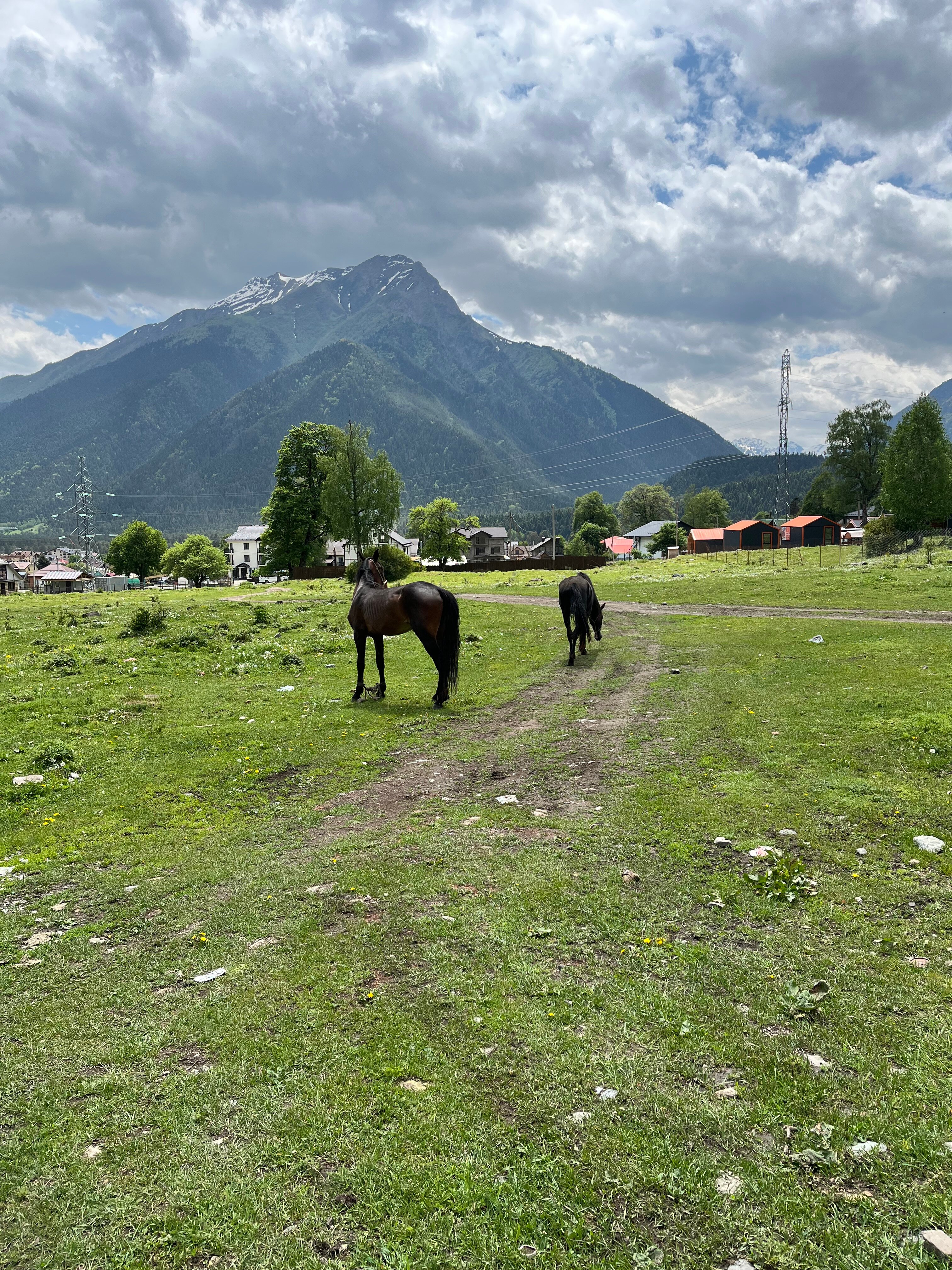 Фото Oscar Club Hotel