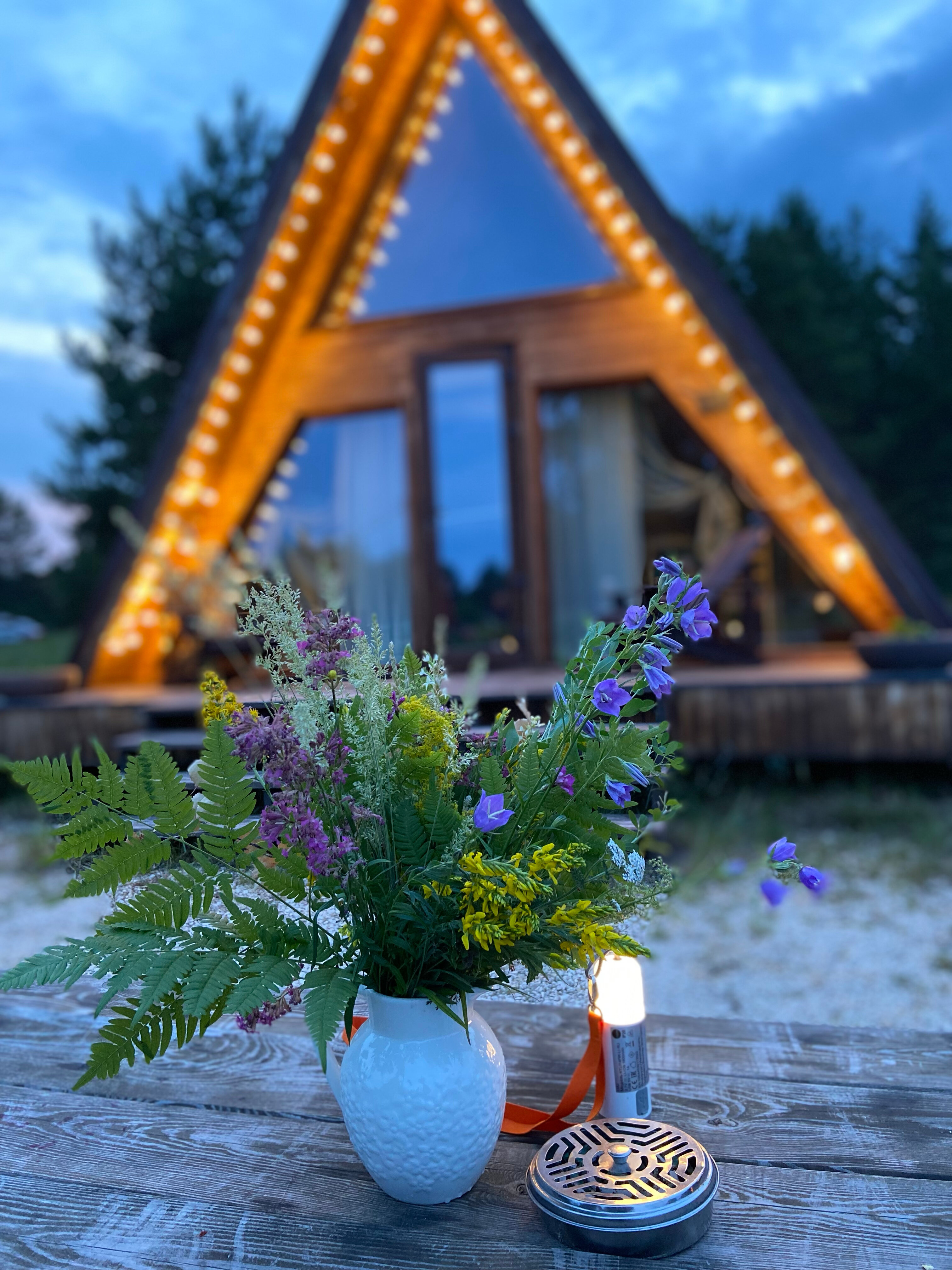 Фото Орехово Лес