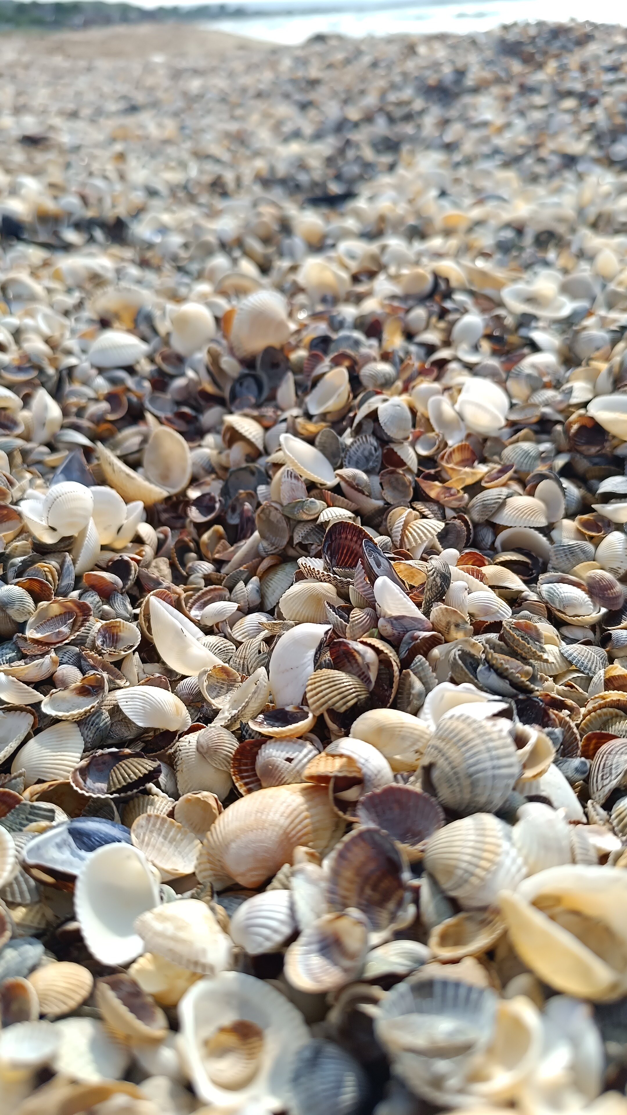 Фото Акварель