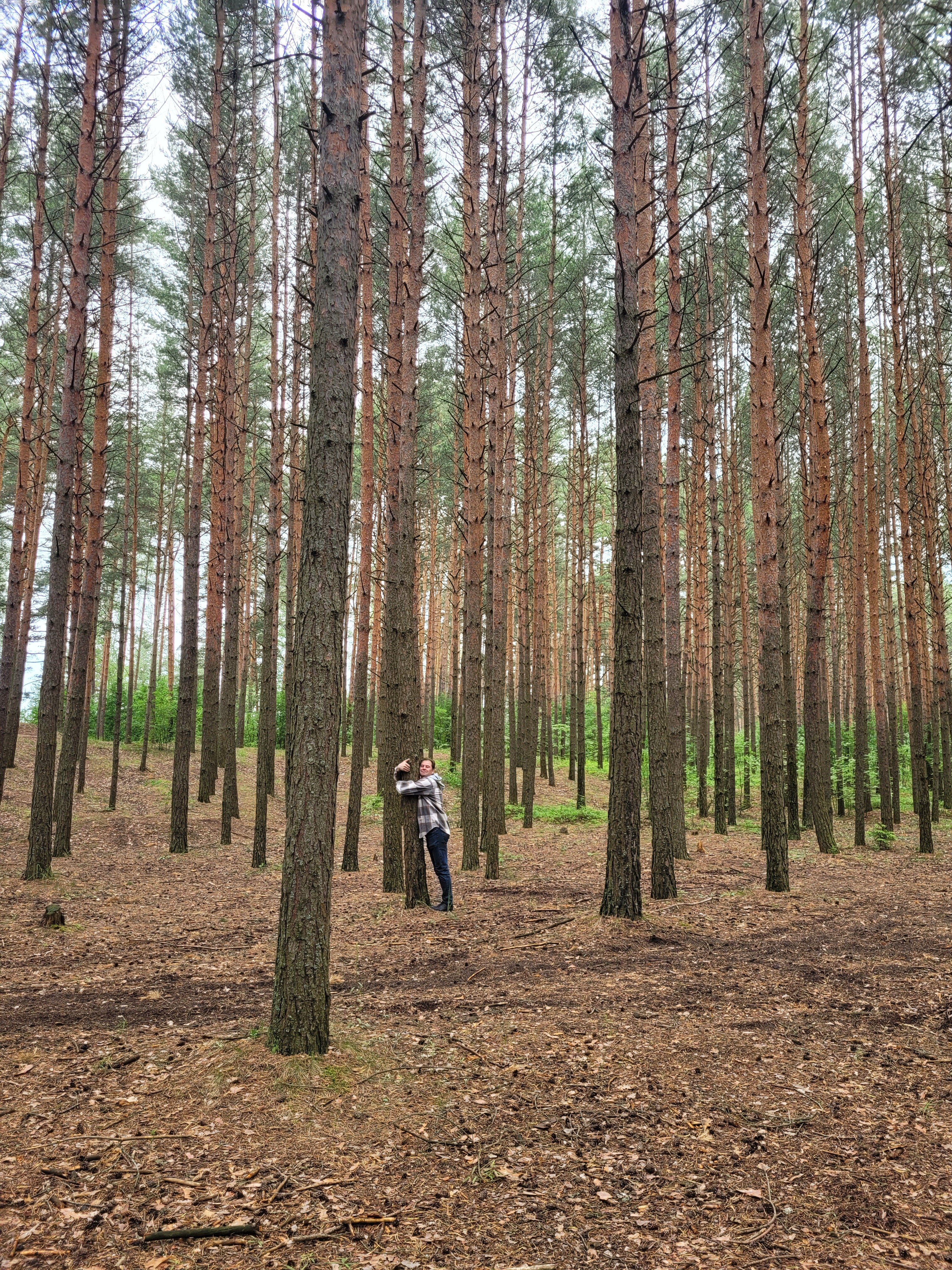 Фото Дом у озера