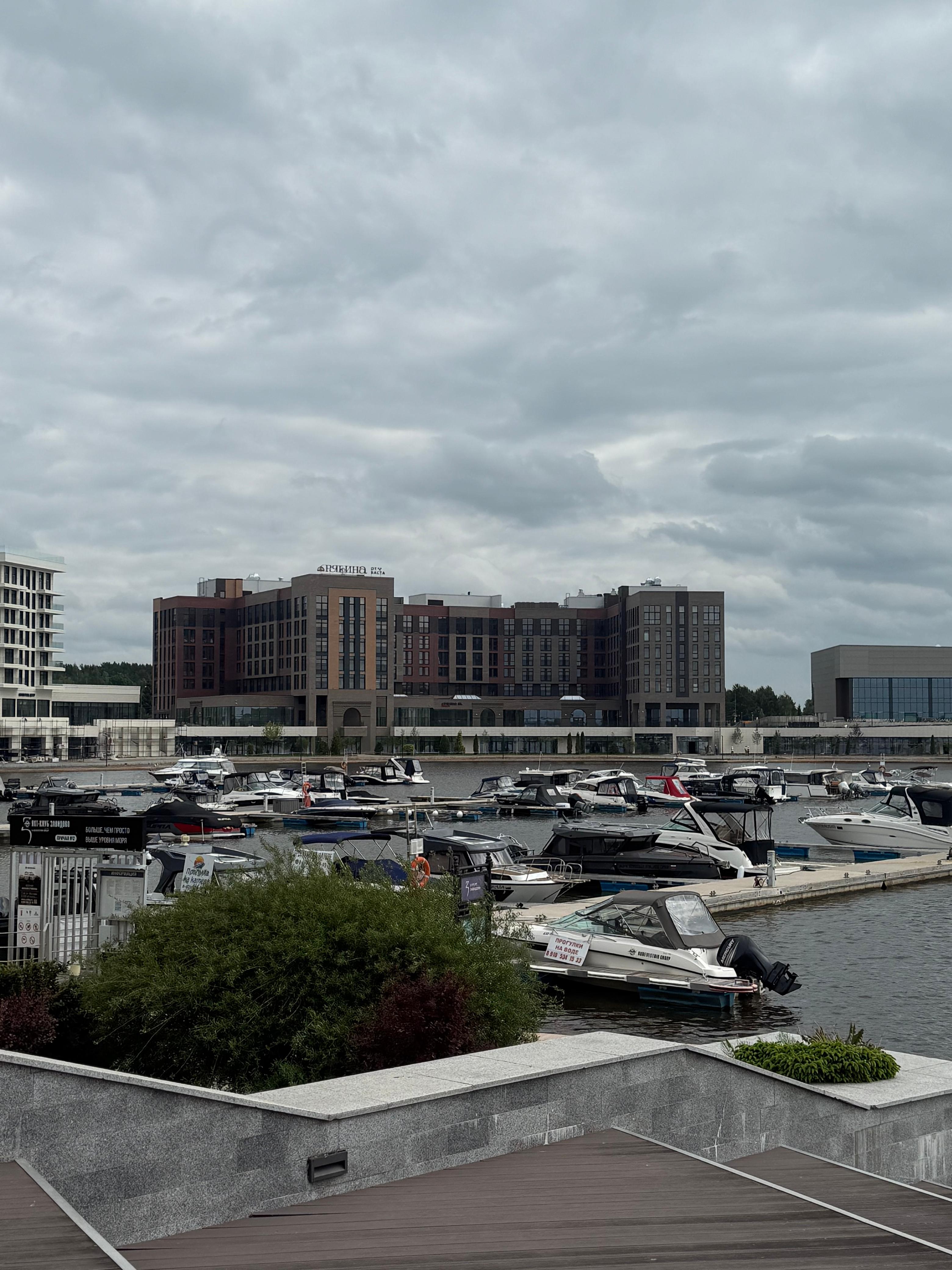 Фото Рябина от Васта