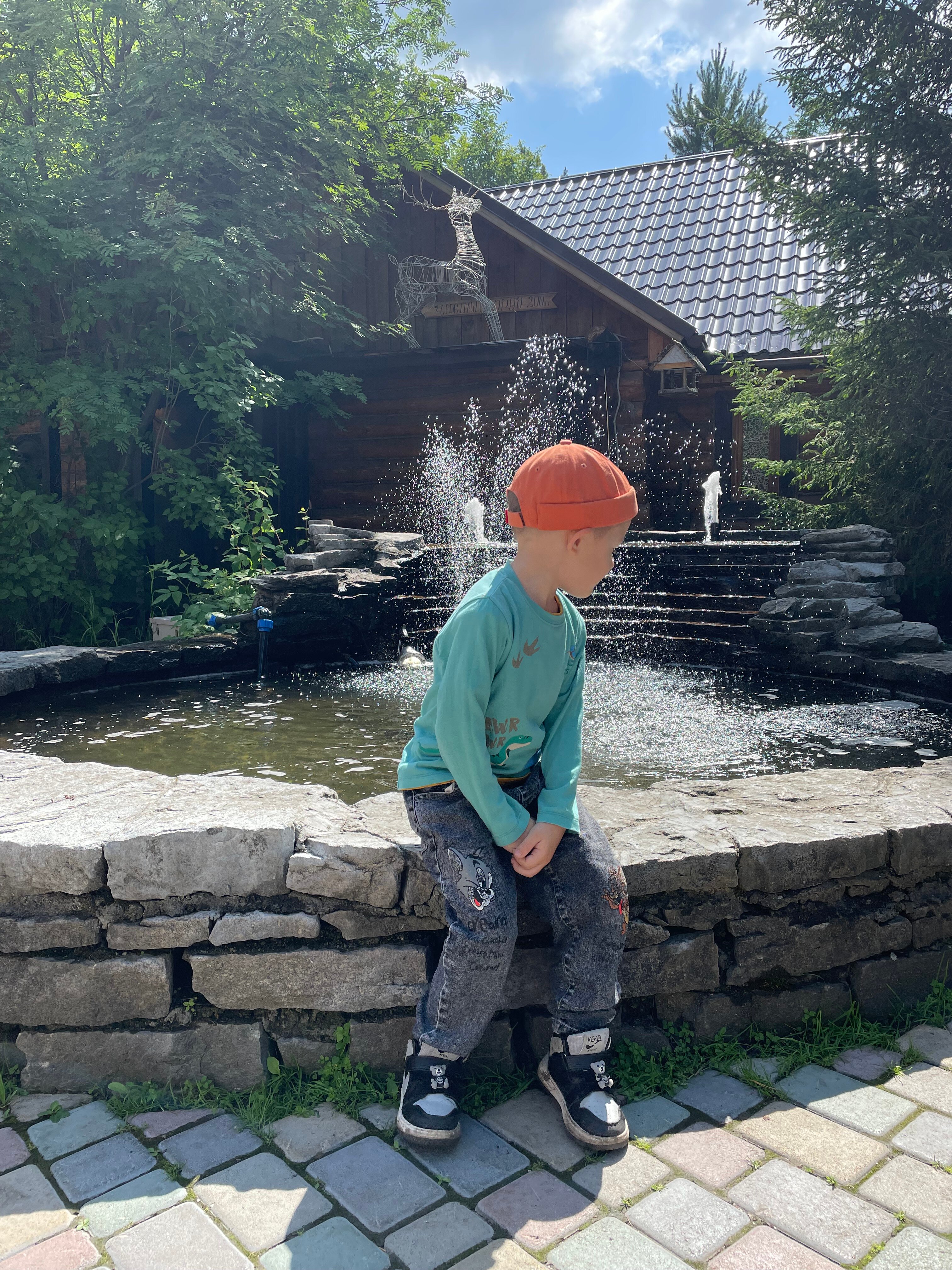 Фото Лесная поляна