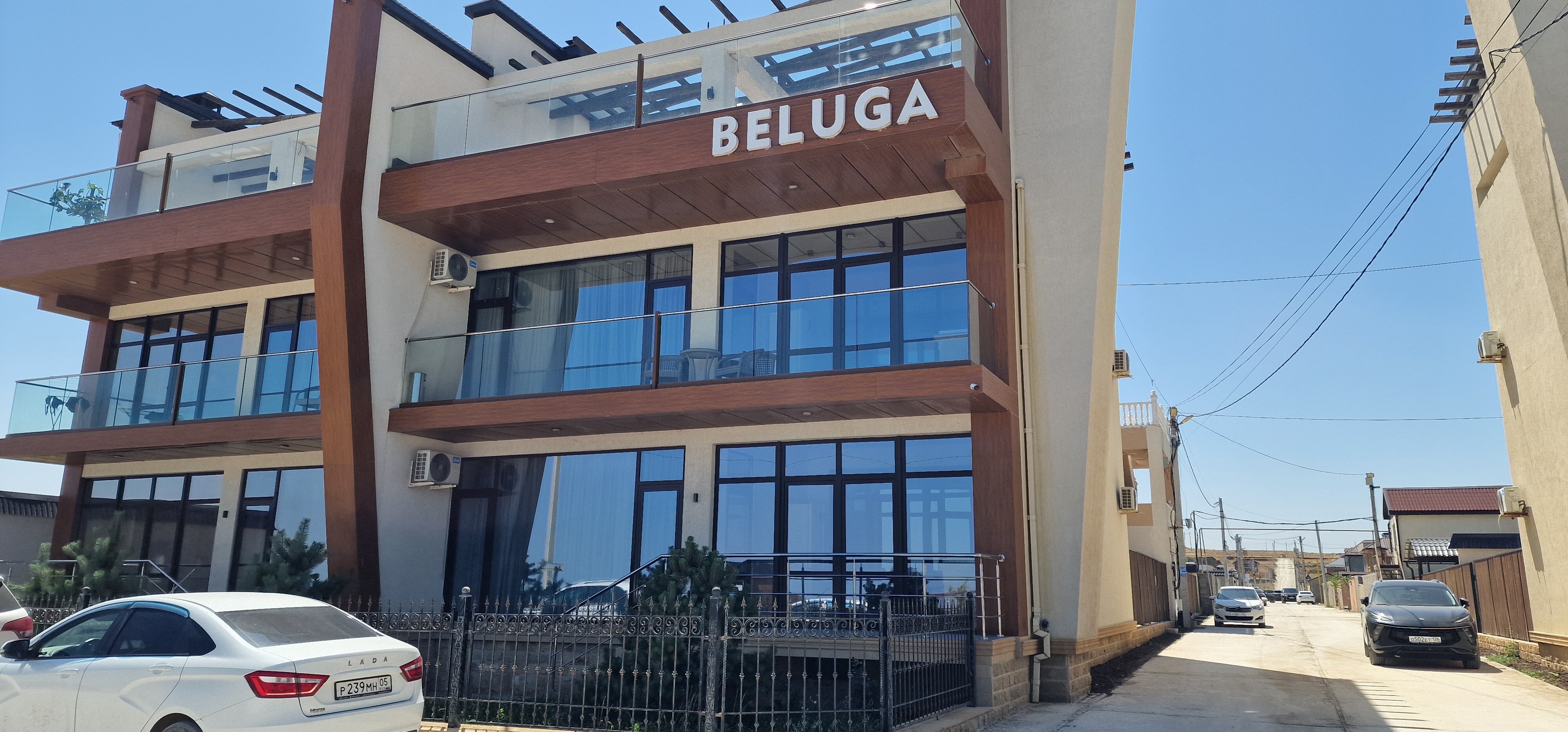 Фото Белуга