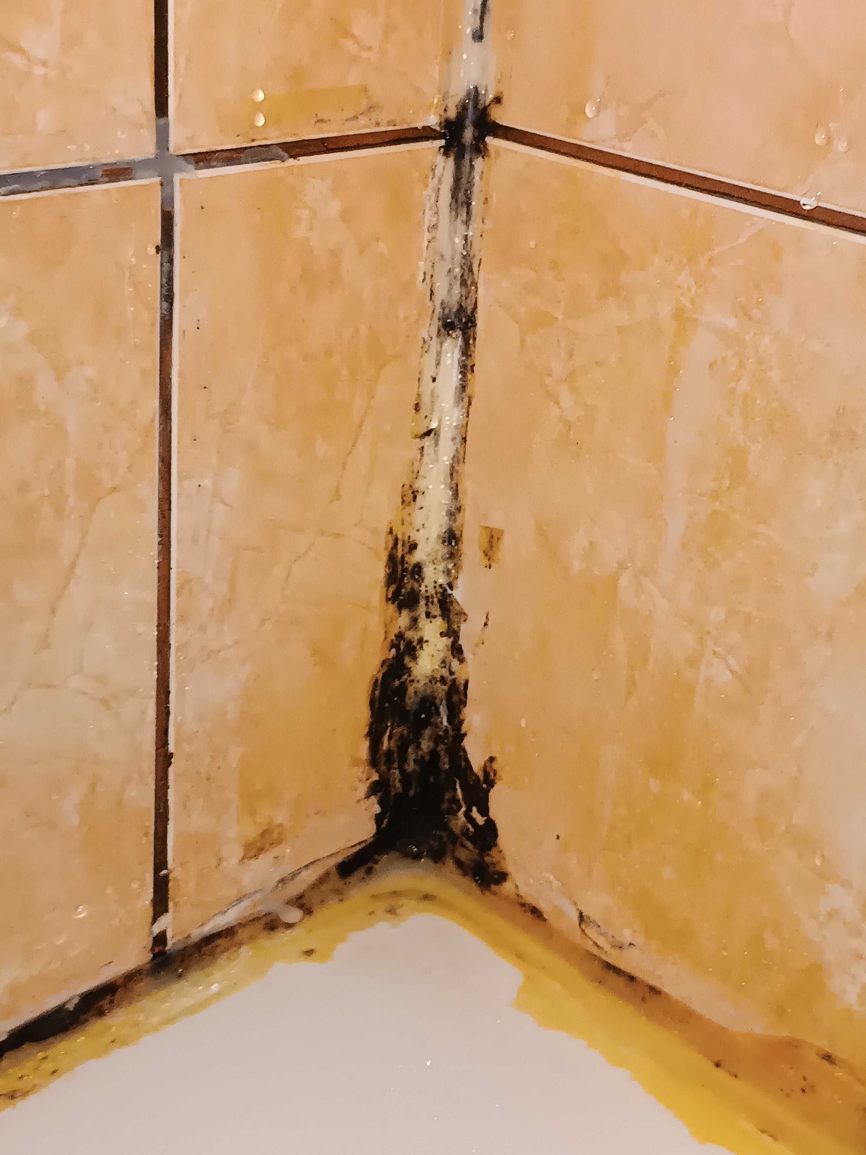 Фото В Питере жить