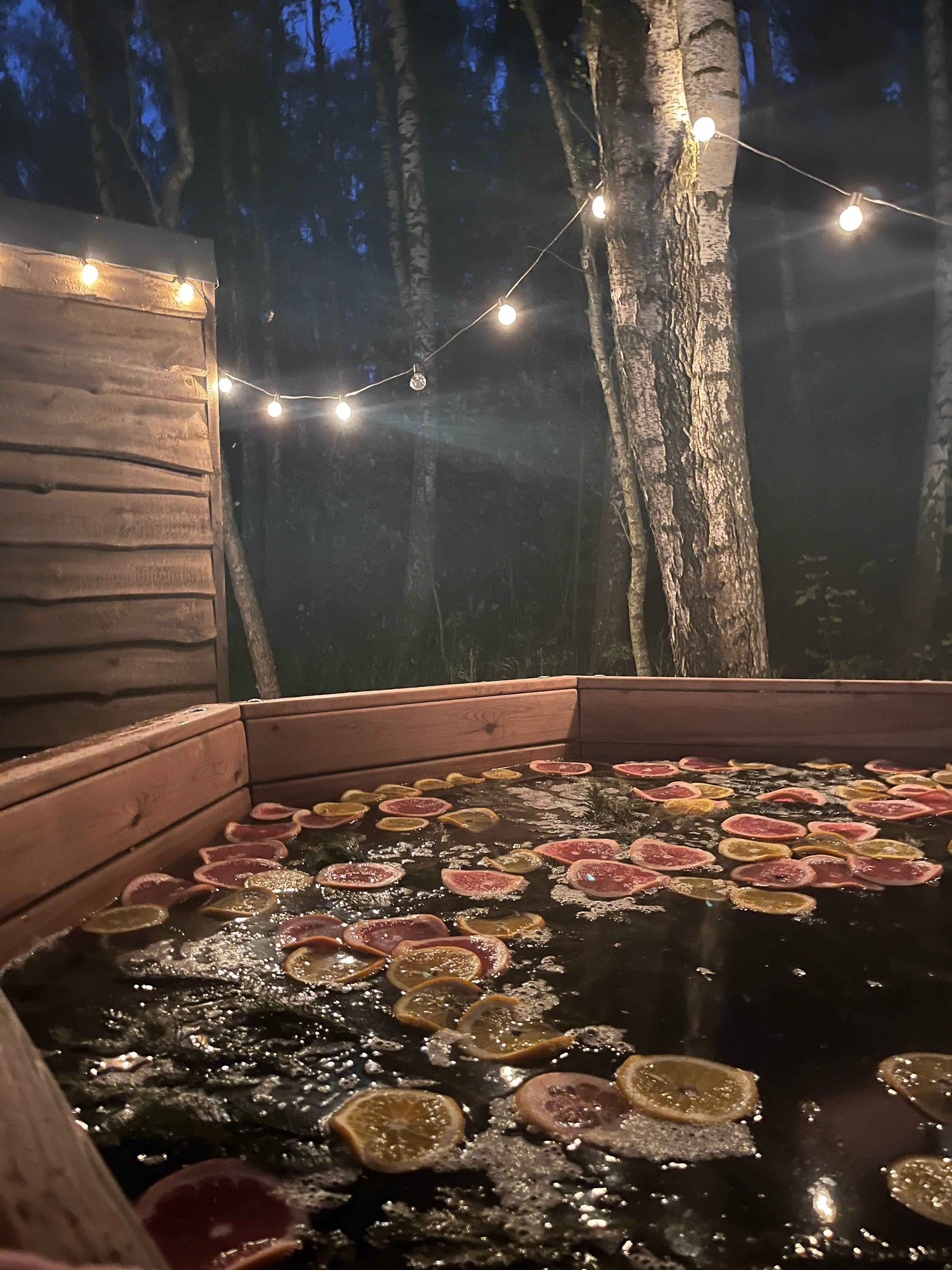 Фото Изба ТТ