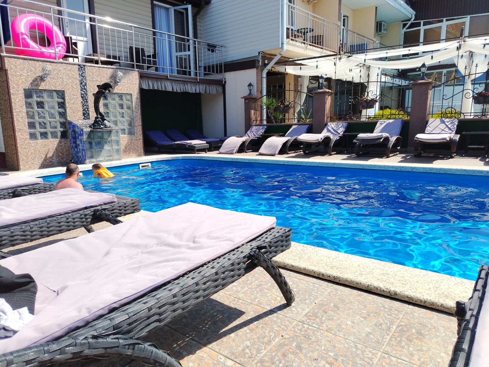 Фото Анютины Глазки