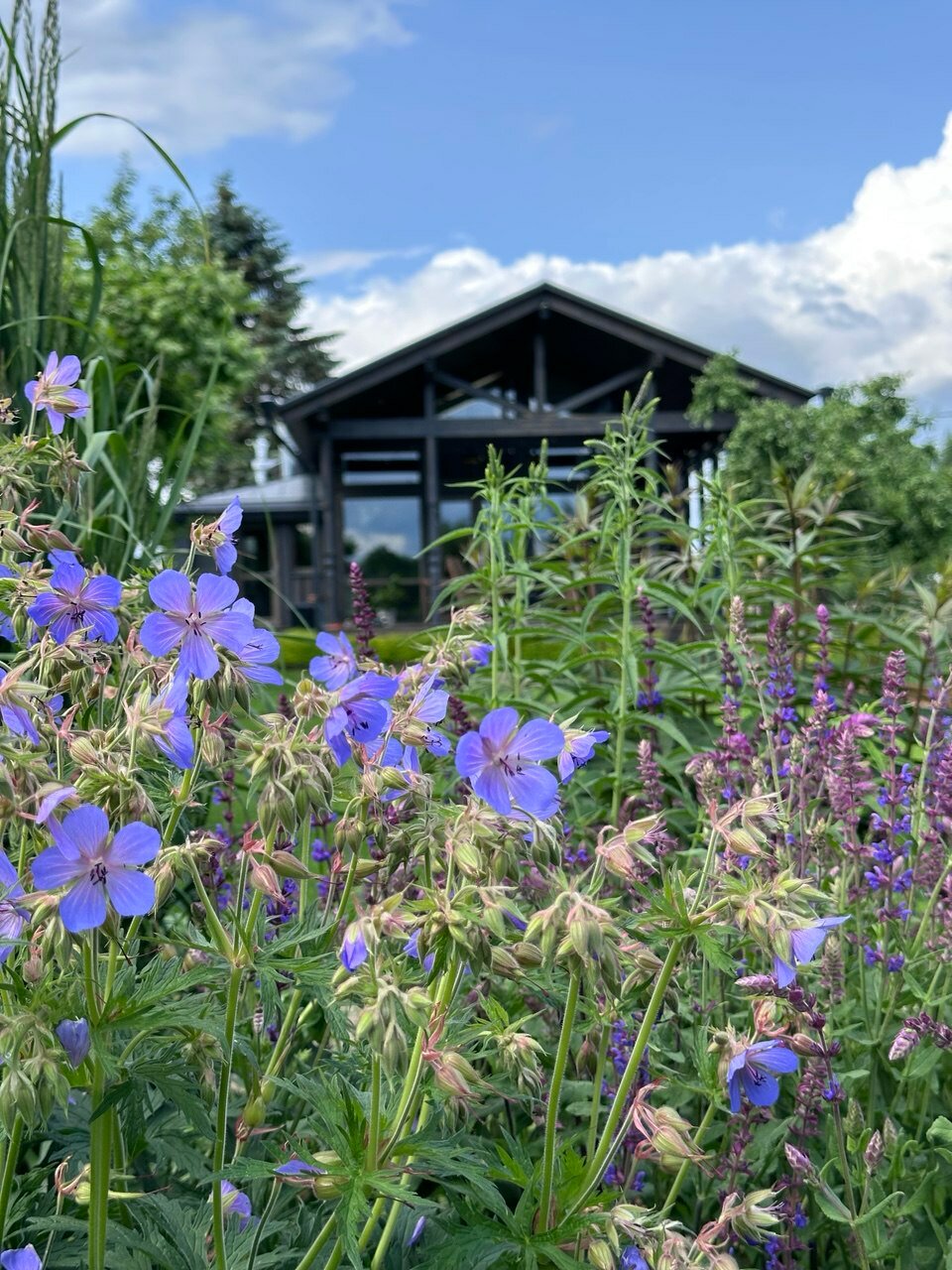 Фото Изба де Шарм