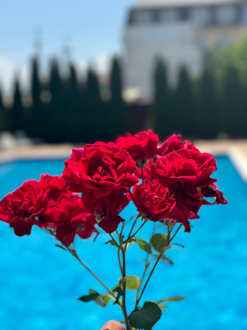 Фото Апельсин