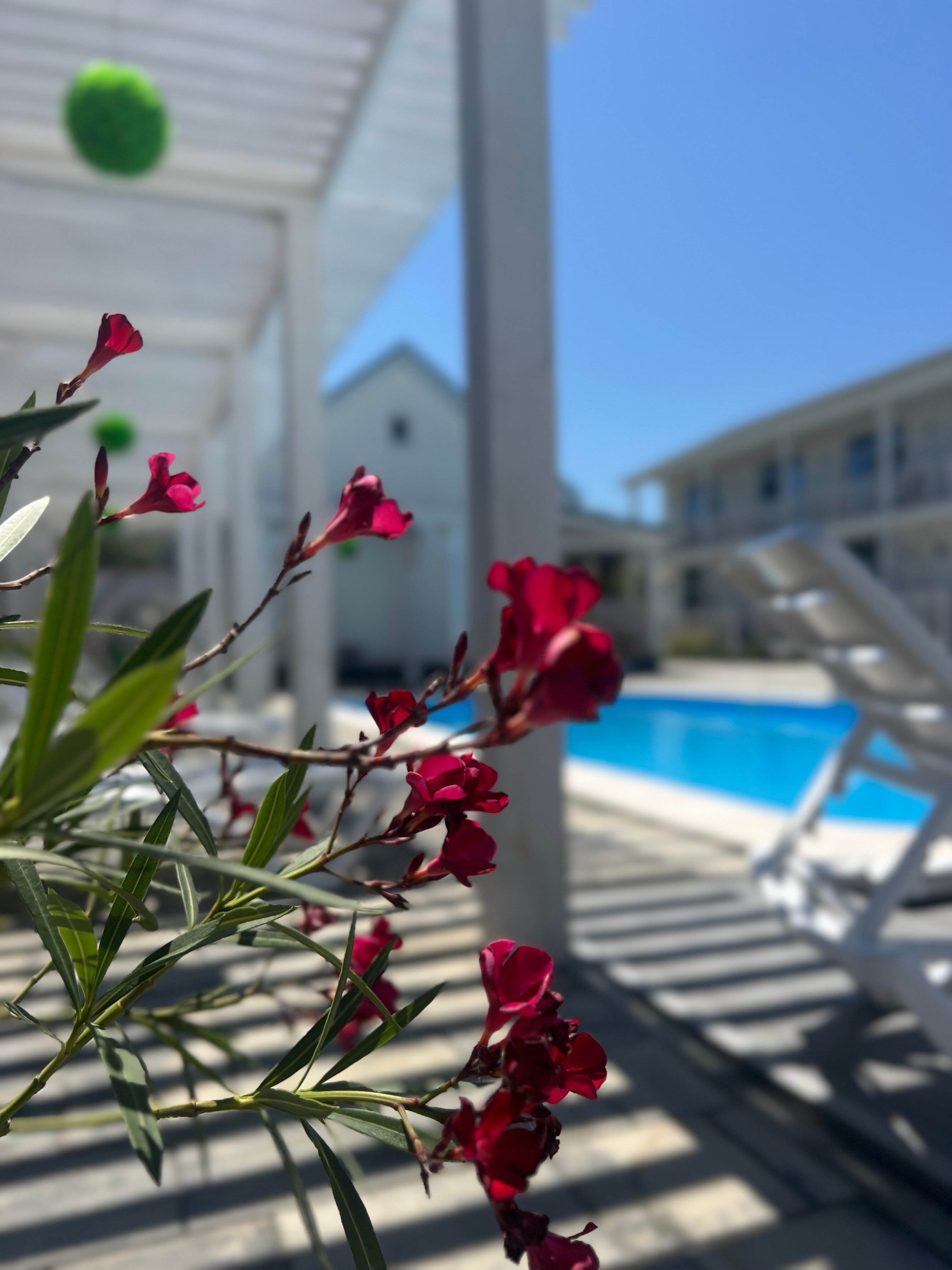 Фото Оливия