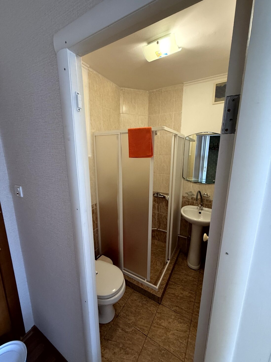 Фото Золотая рыбка