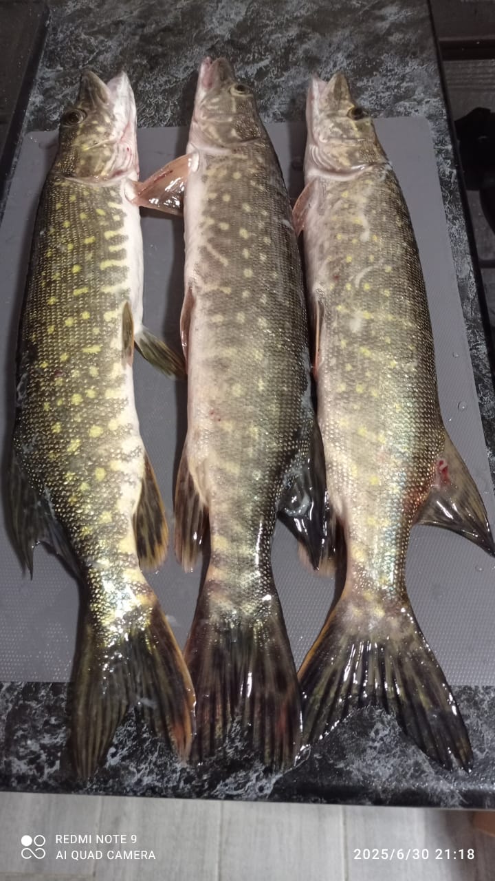 Фото Залив Души