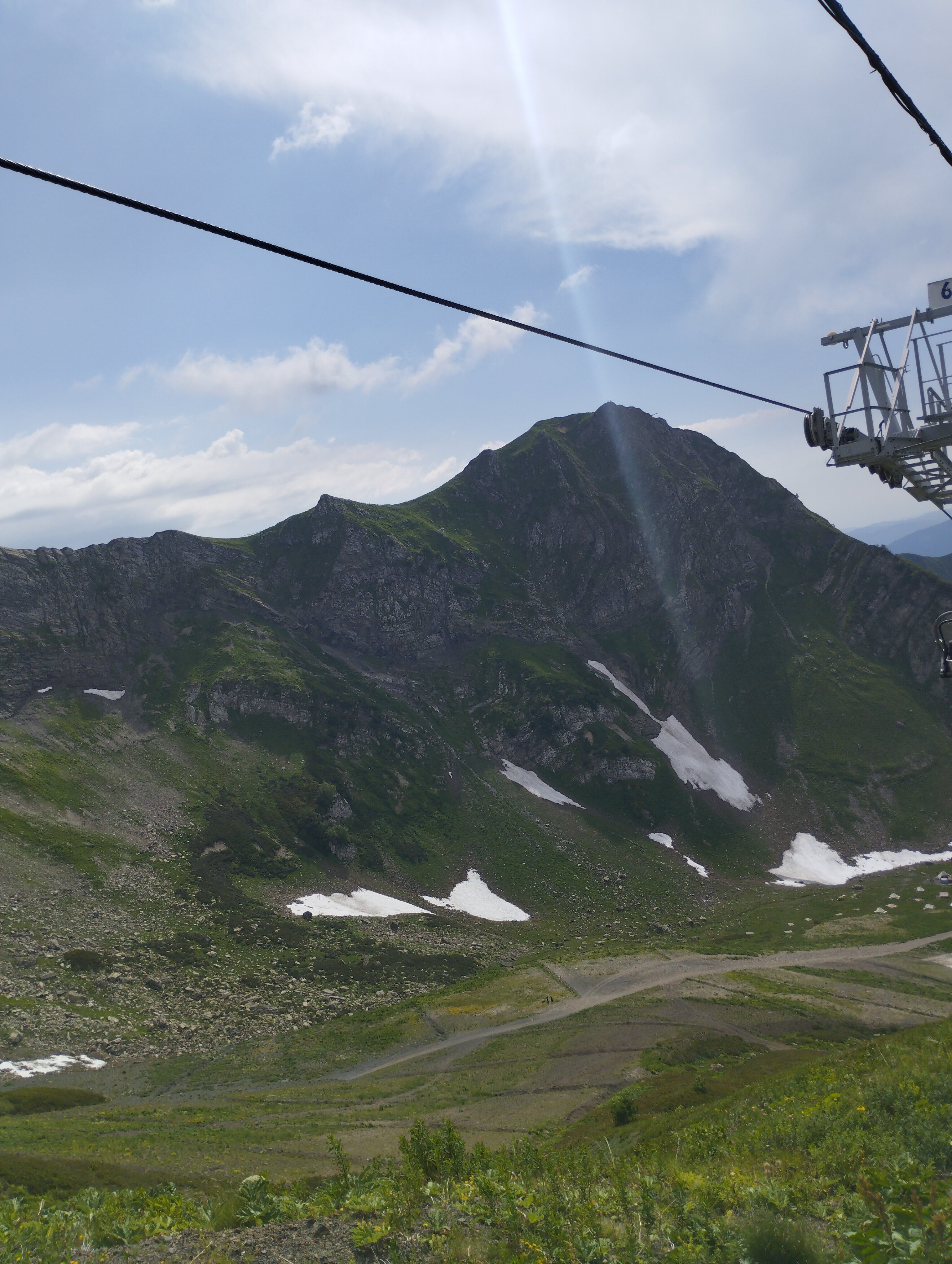 Фото Адениум 585