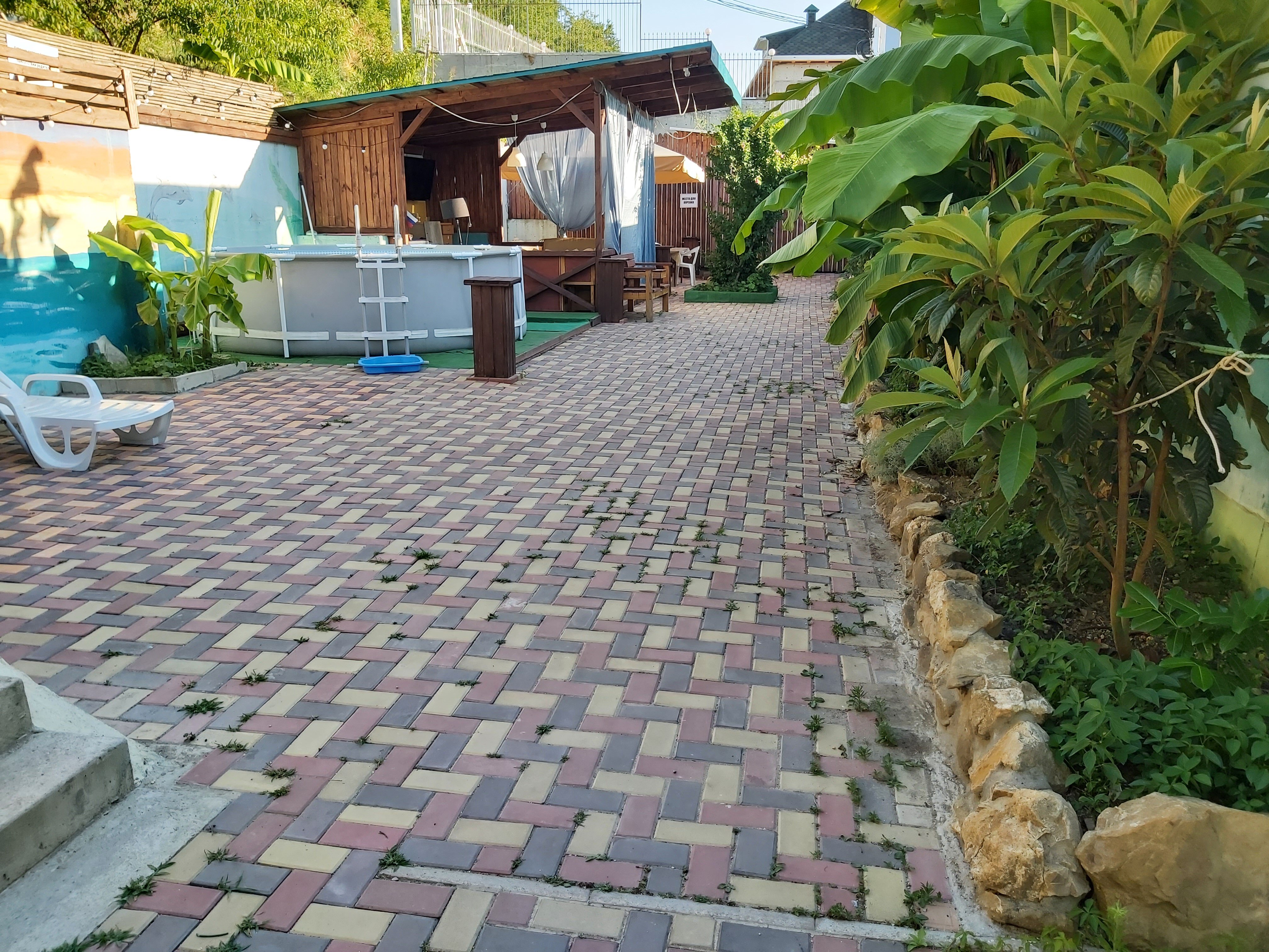 Фото Мандаринка