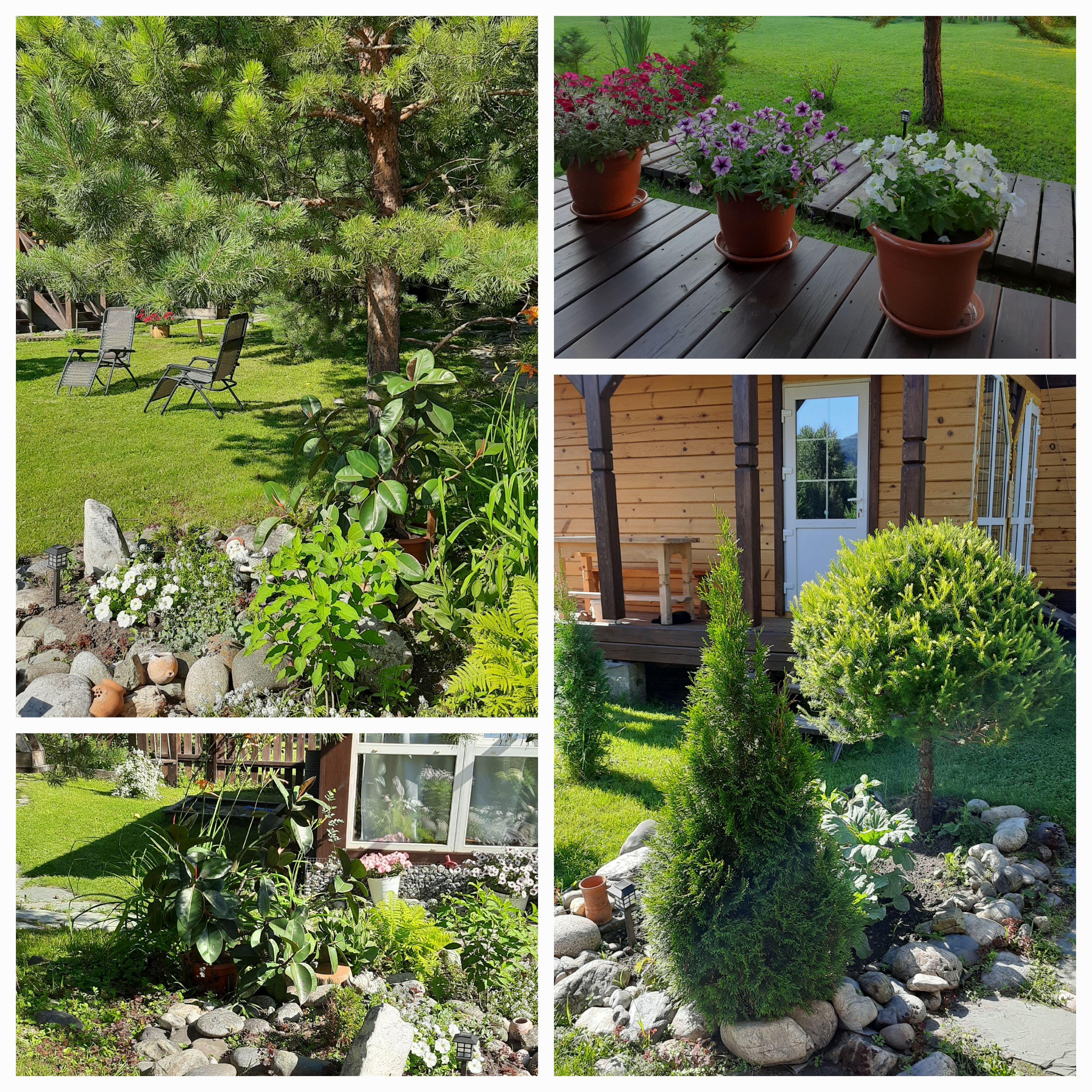 Фото Ливадия