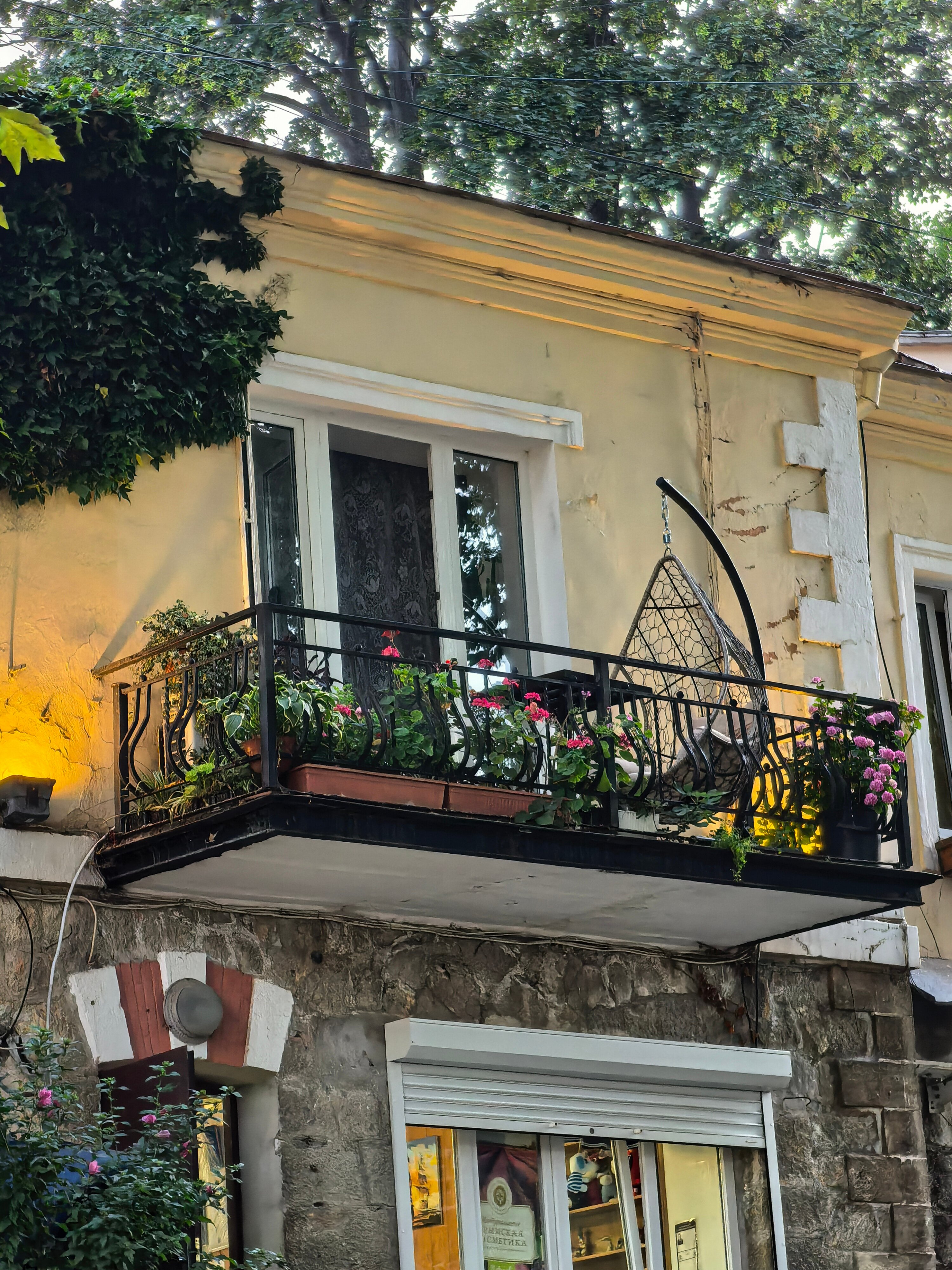 Фото Ливада