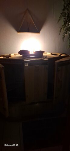 Камерадағы қорлаудың порно видеолары