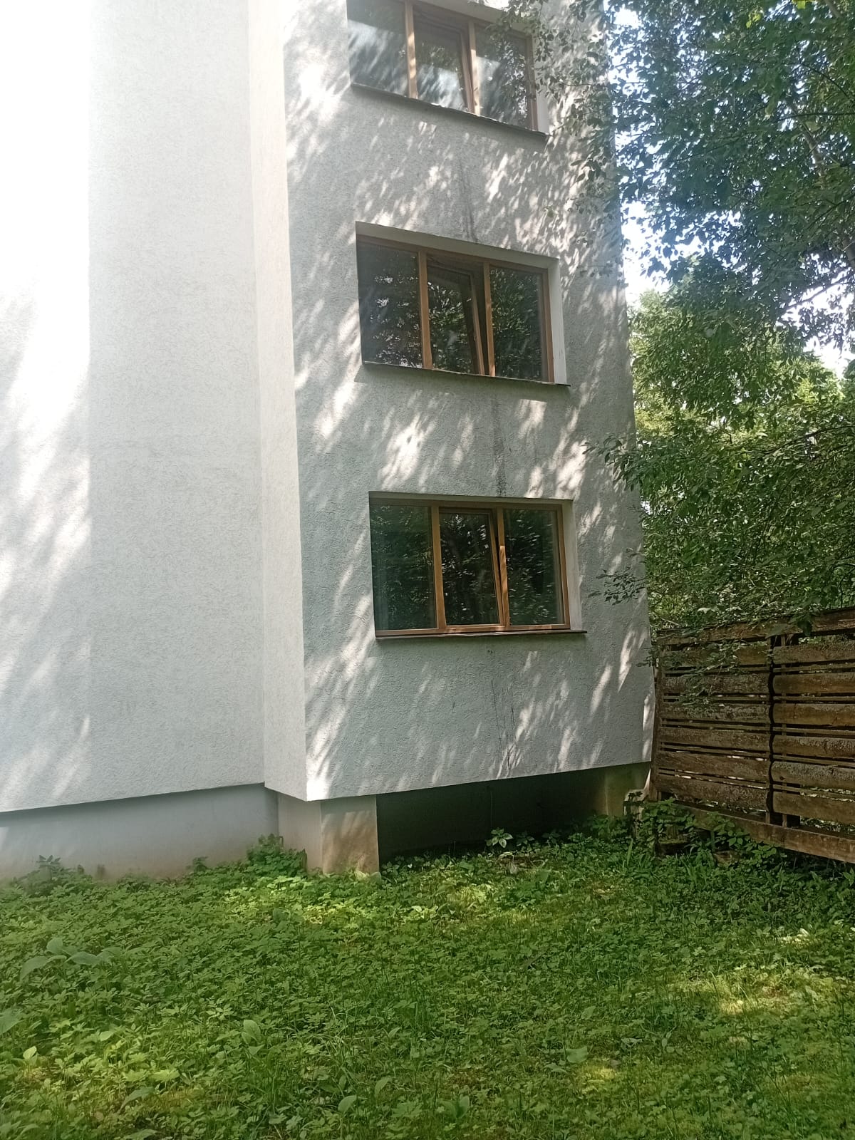 Фото Апартаменты в лесу