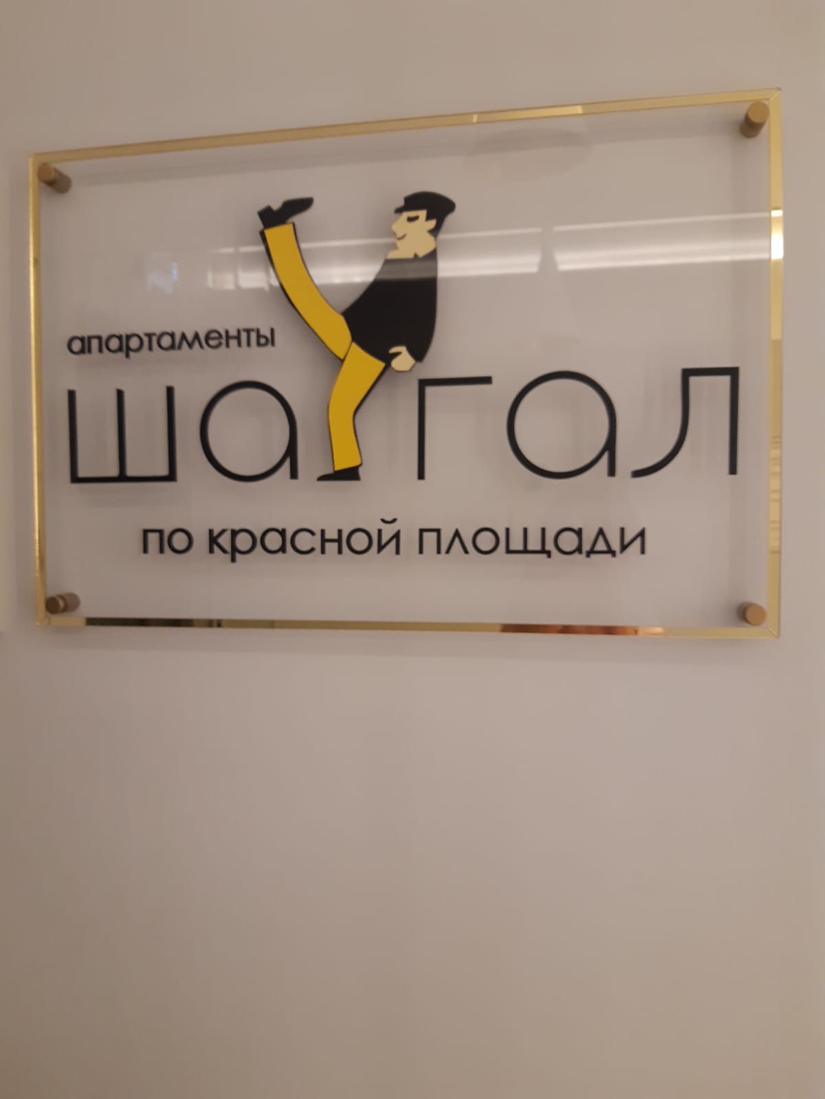 Фото Шагал по Красной площади