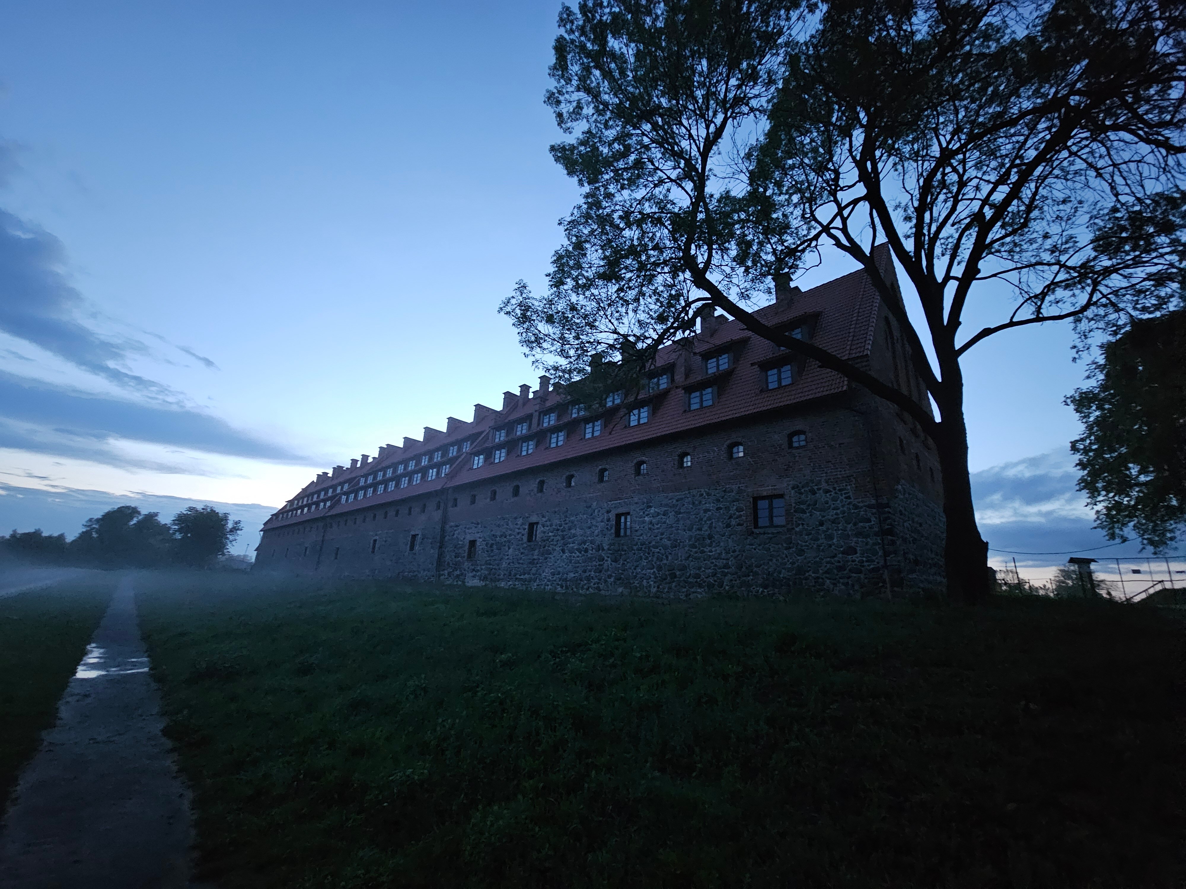 Фото Серый гусь