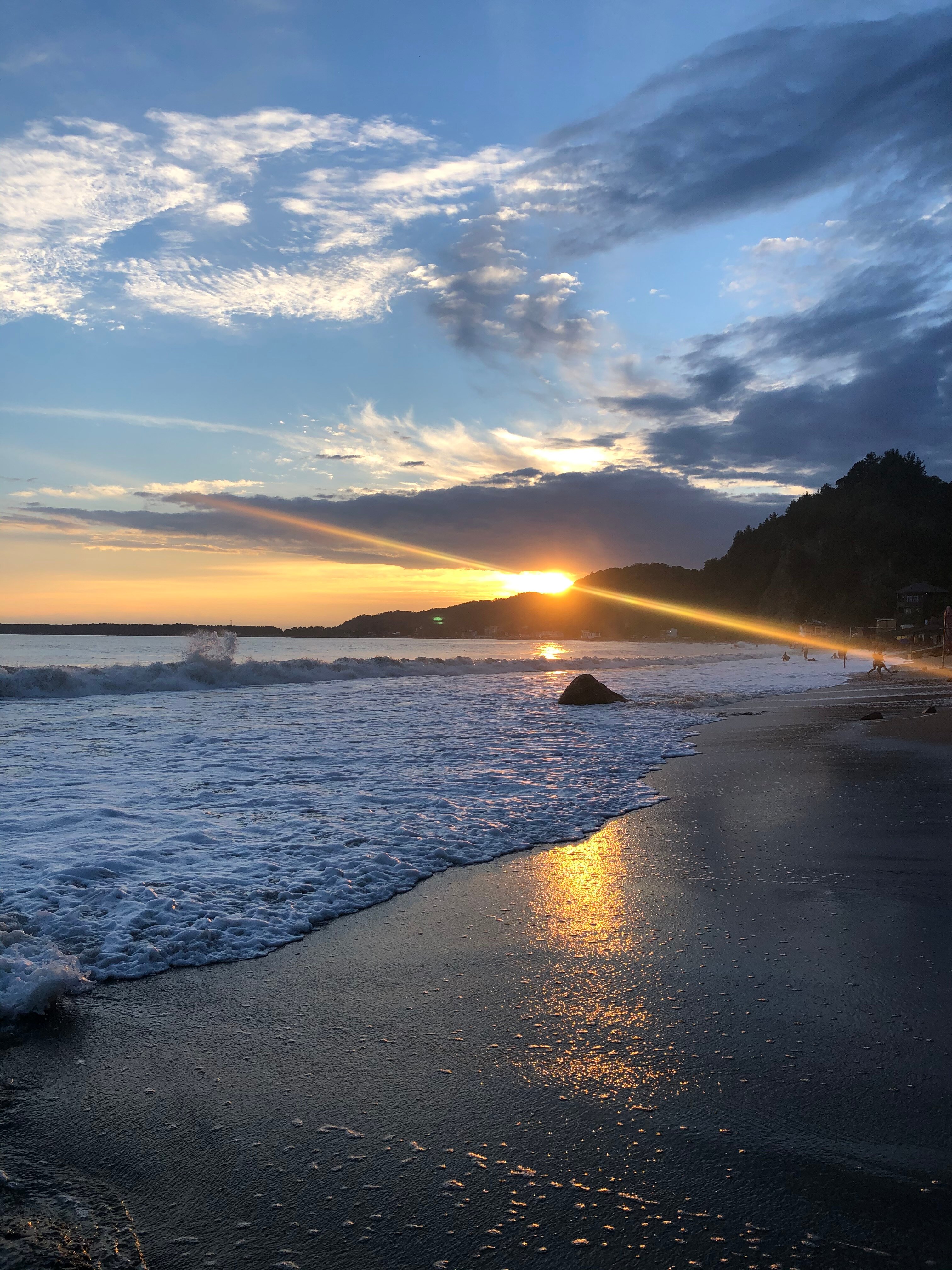 Фото Арбика