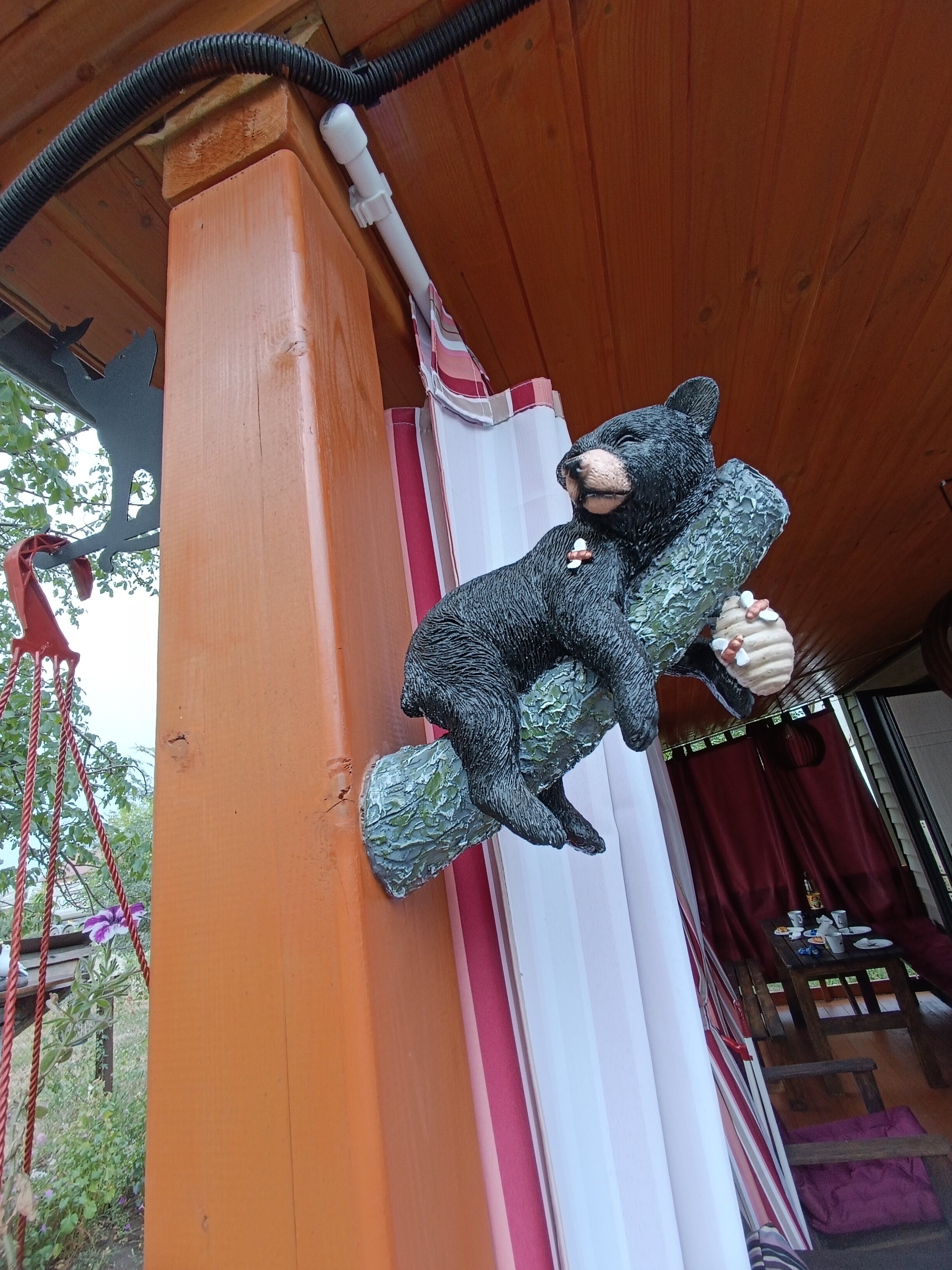 Фото Надежда