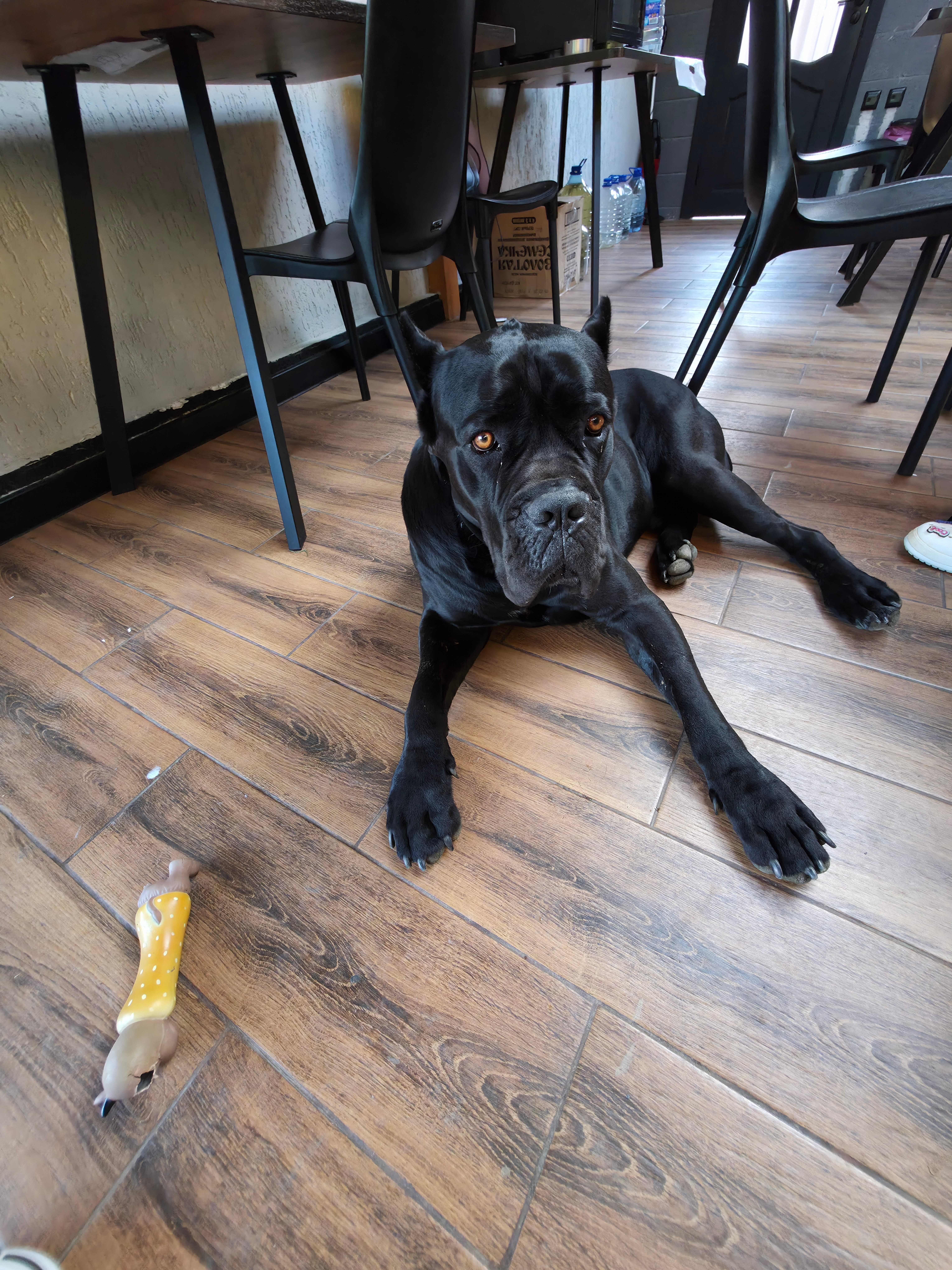 Фото Вилла Оазис