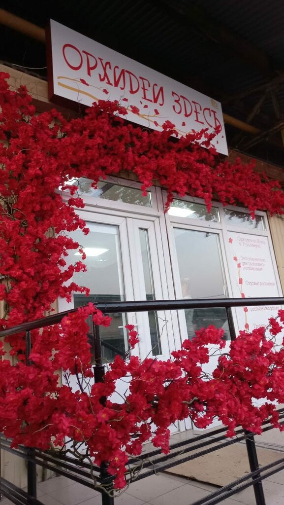 Flower shop Орхидеи здесь, Gelendgik, photo