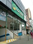 Locatel Chapinero (Bogotá, Santa Fe, Carrera 13, 51-53), pharmacy