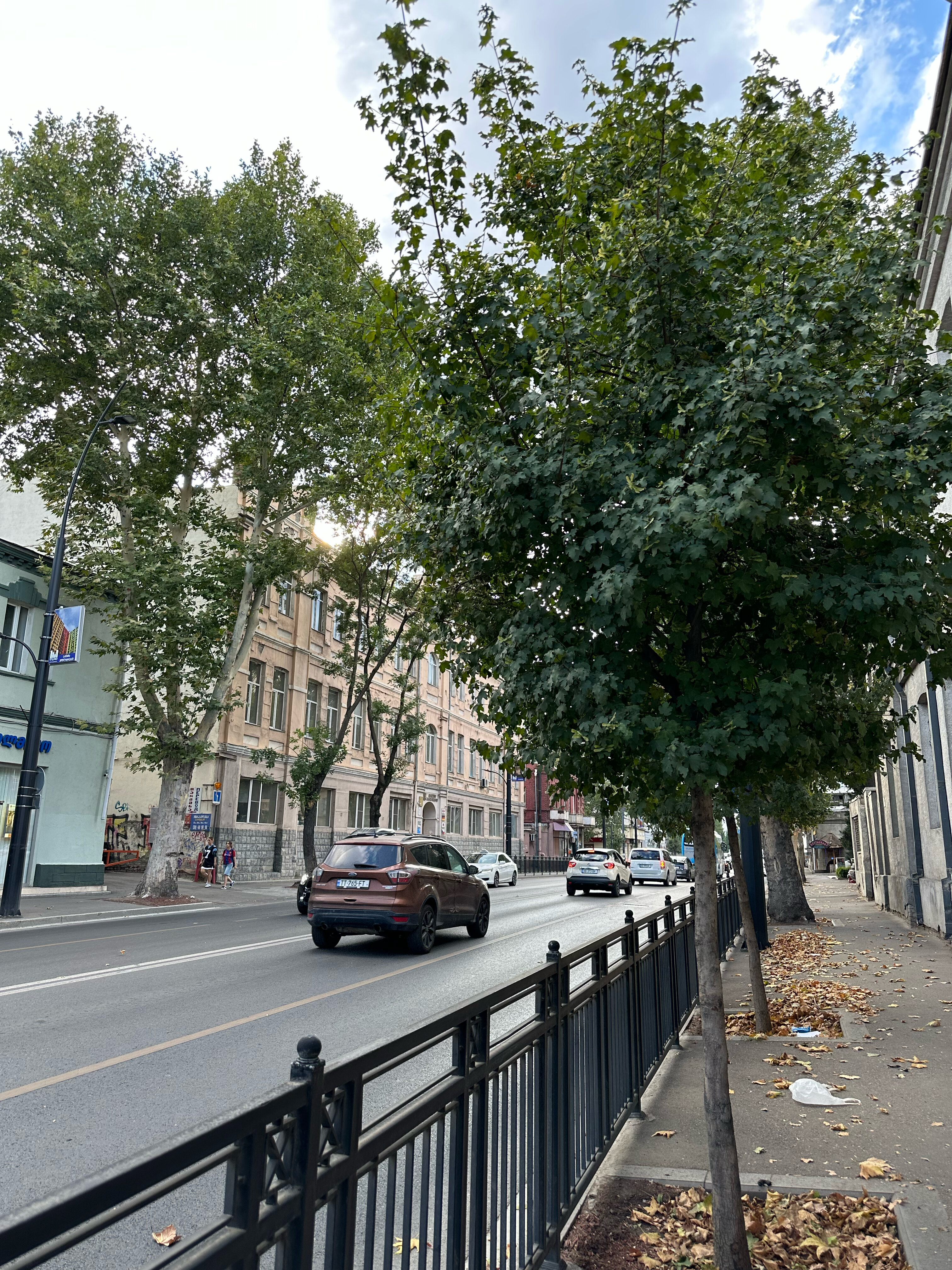 Фото Tbilisi Laerton Hotel