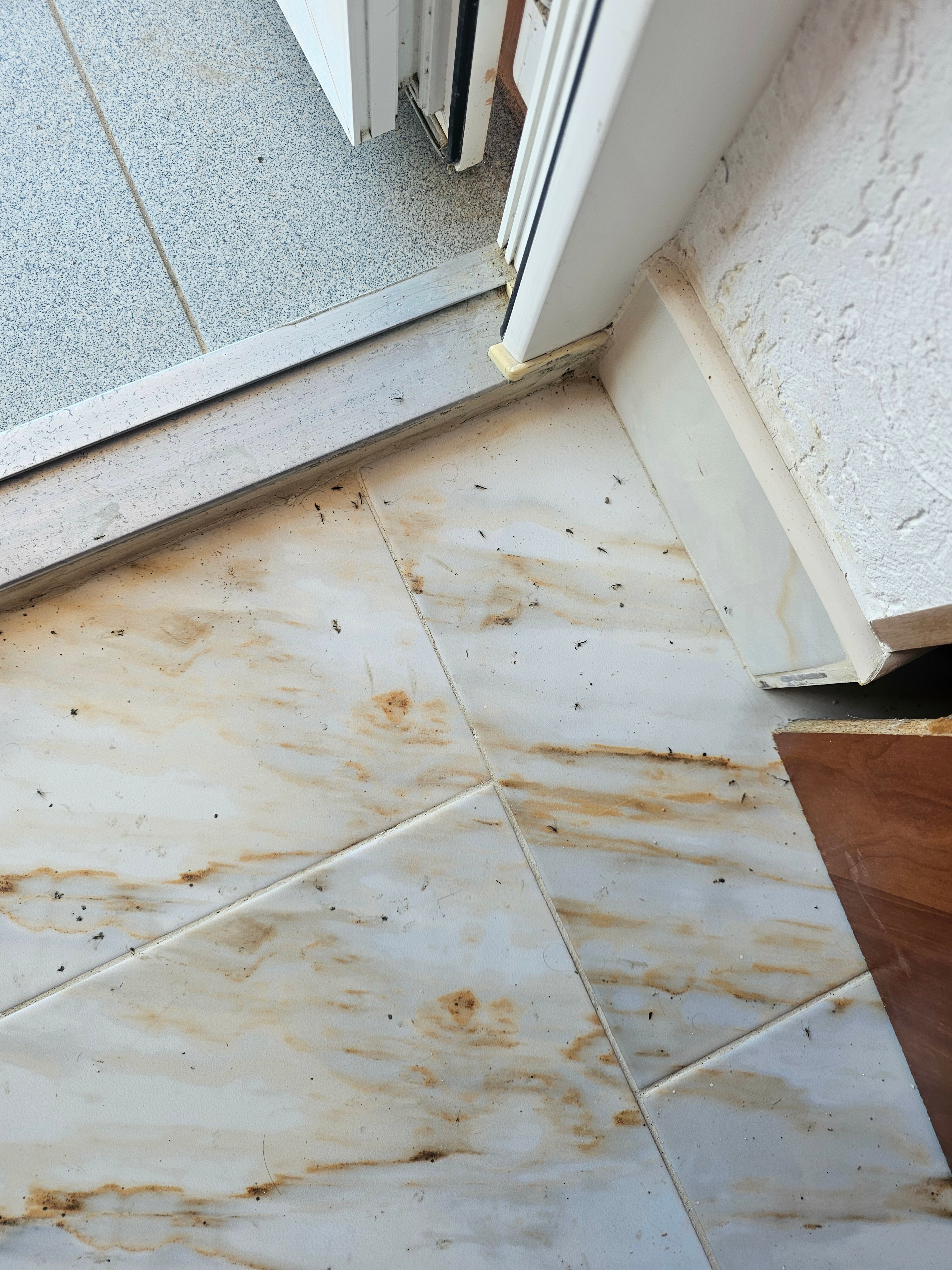 Фото Акватория