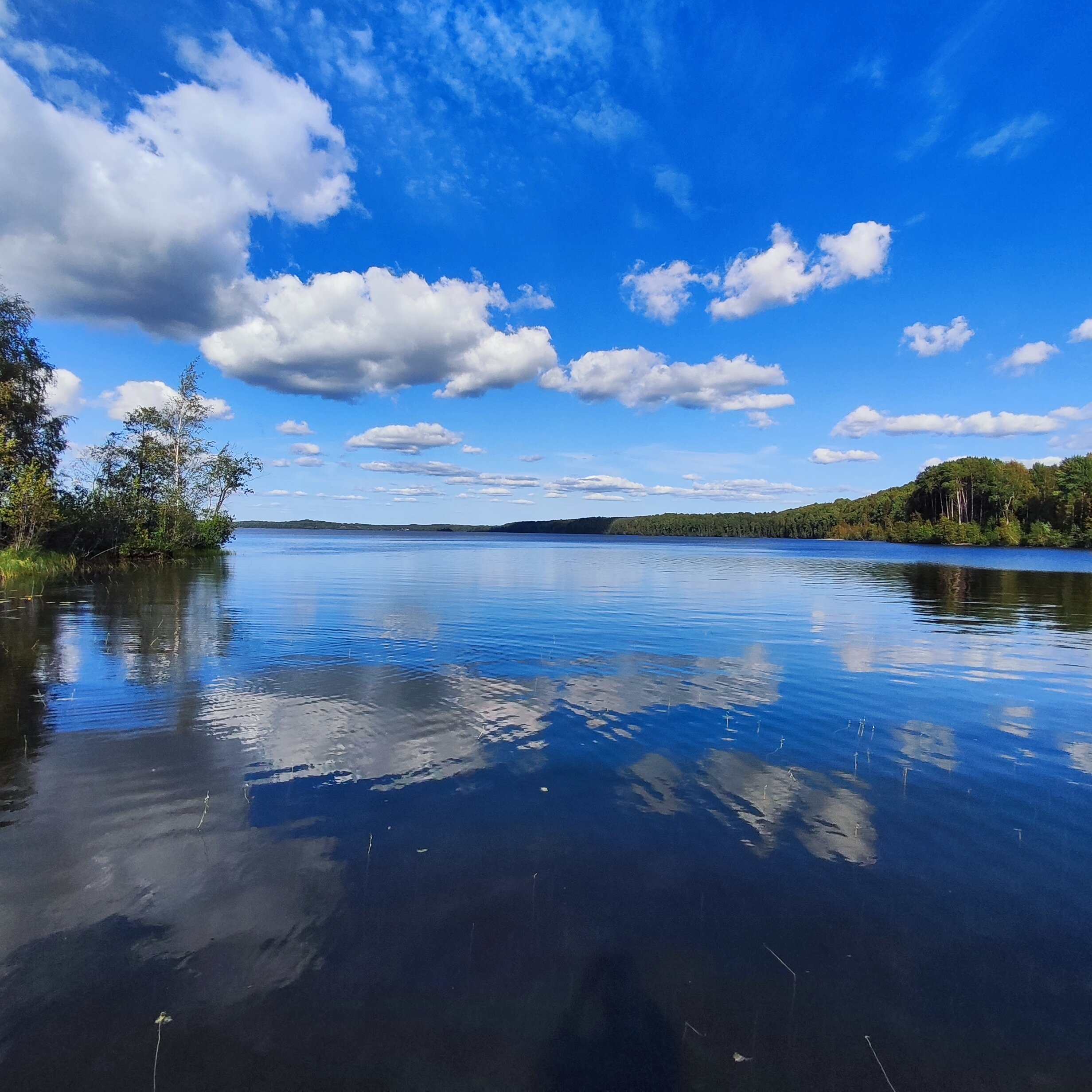 Фото Бухта Лапиковых
