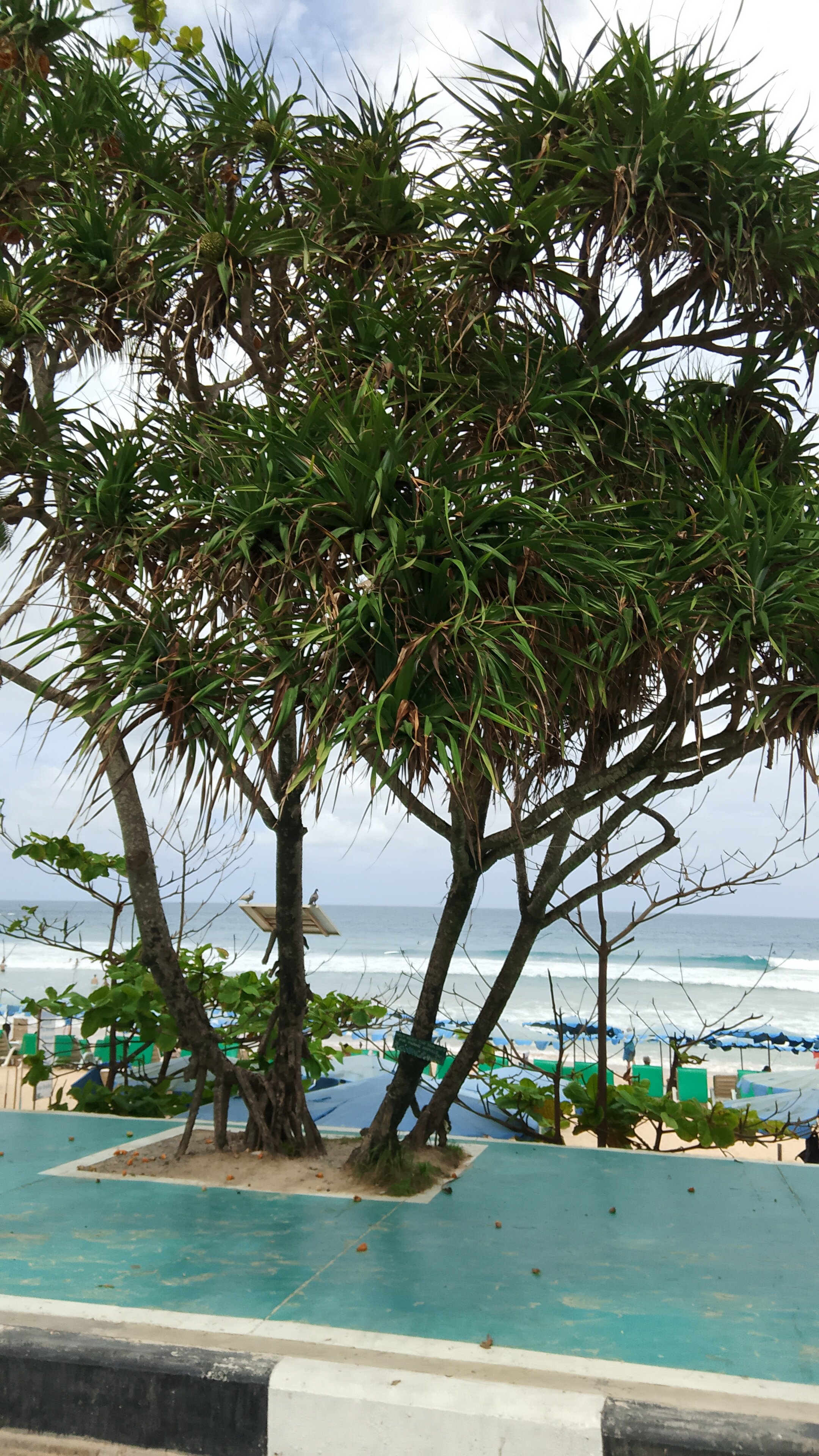 Фото Kata Palace Phuket