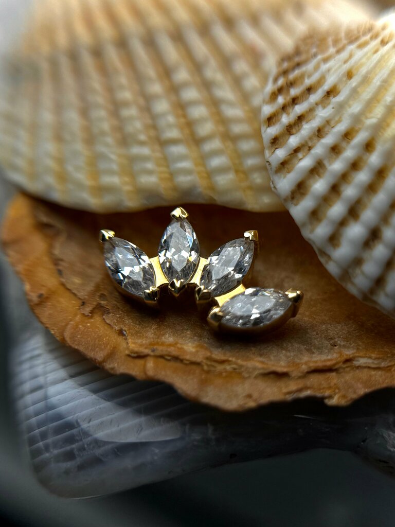 Beauty salon Panda Beauty, Pskov, photo