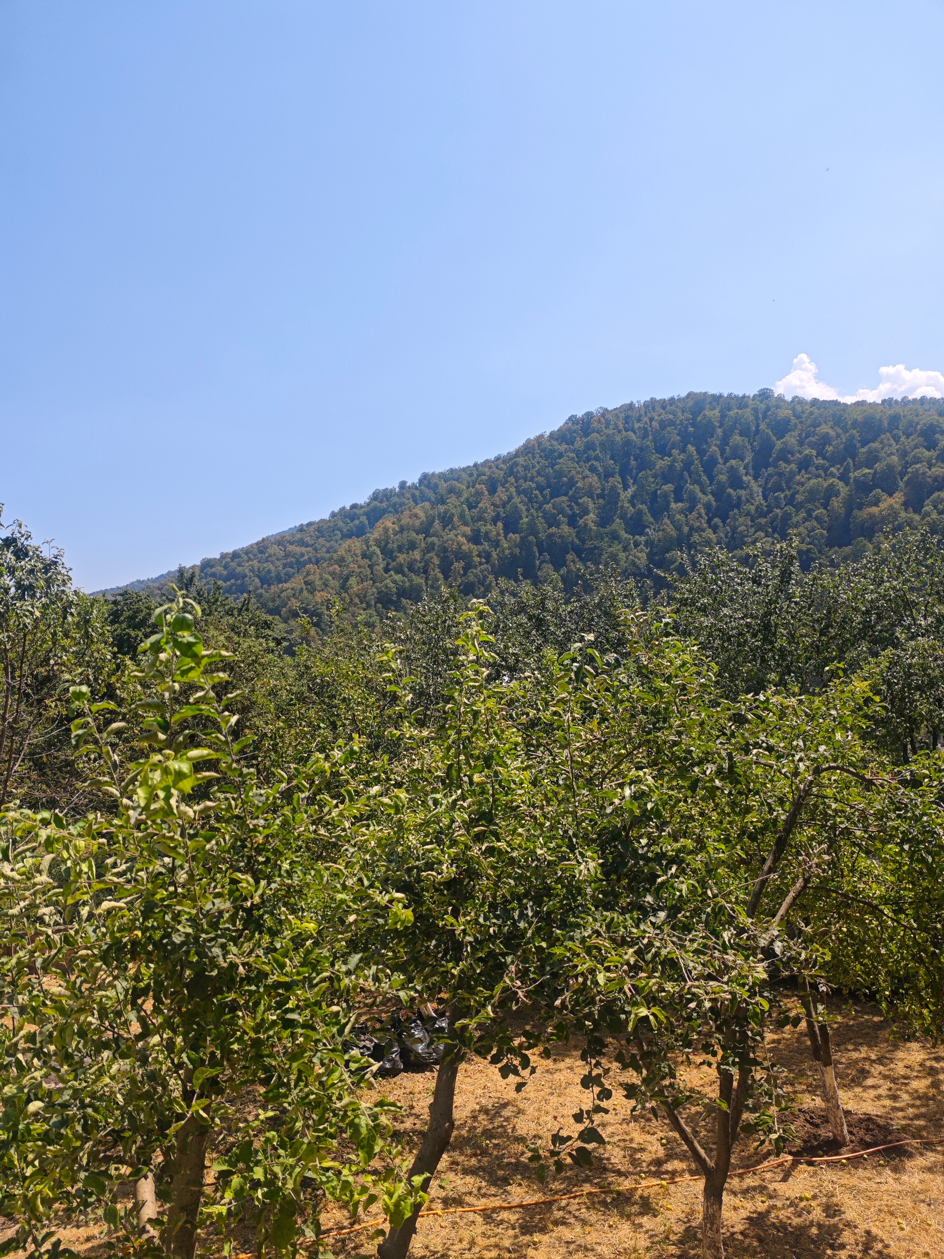 Фото RestArt Boutique Hotel