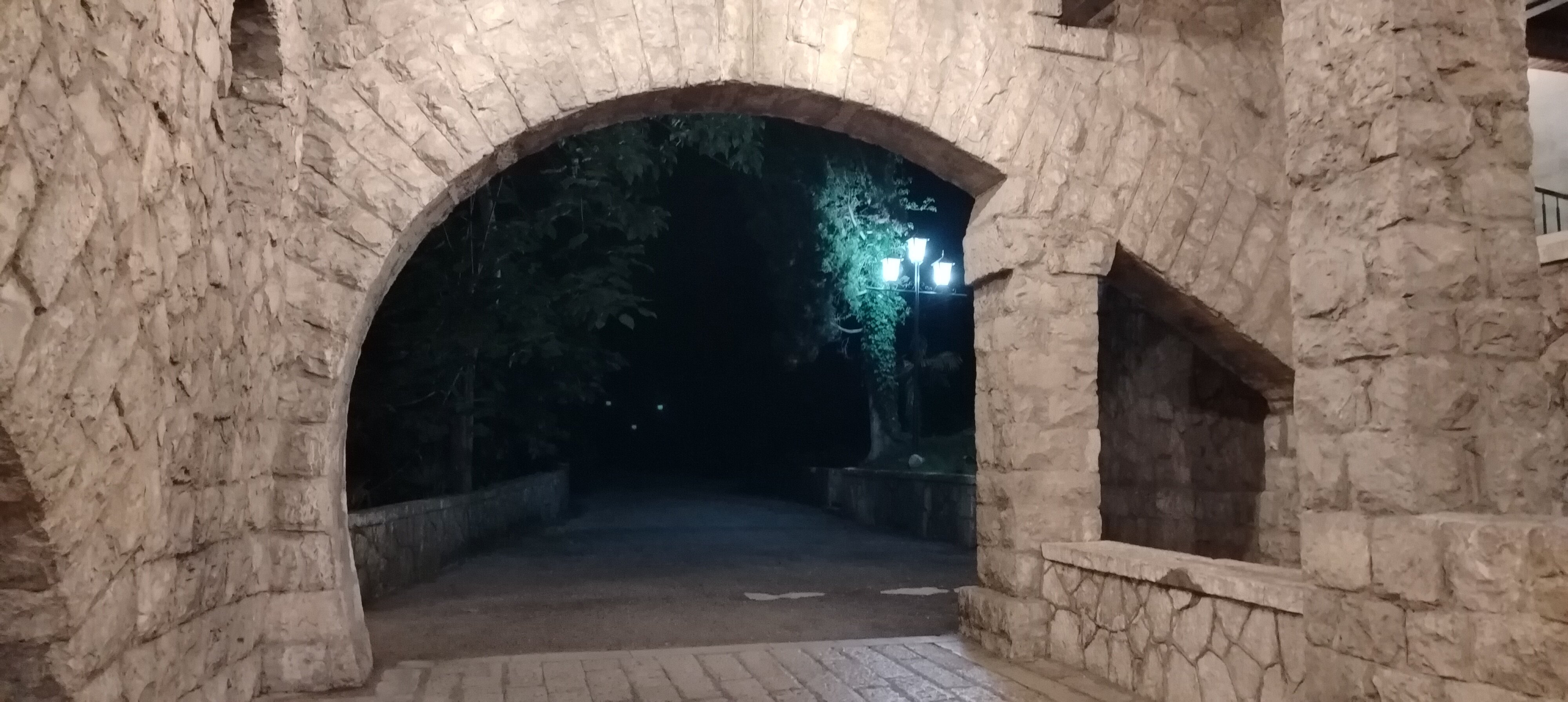 Фото Континент Гагра