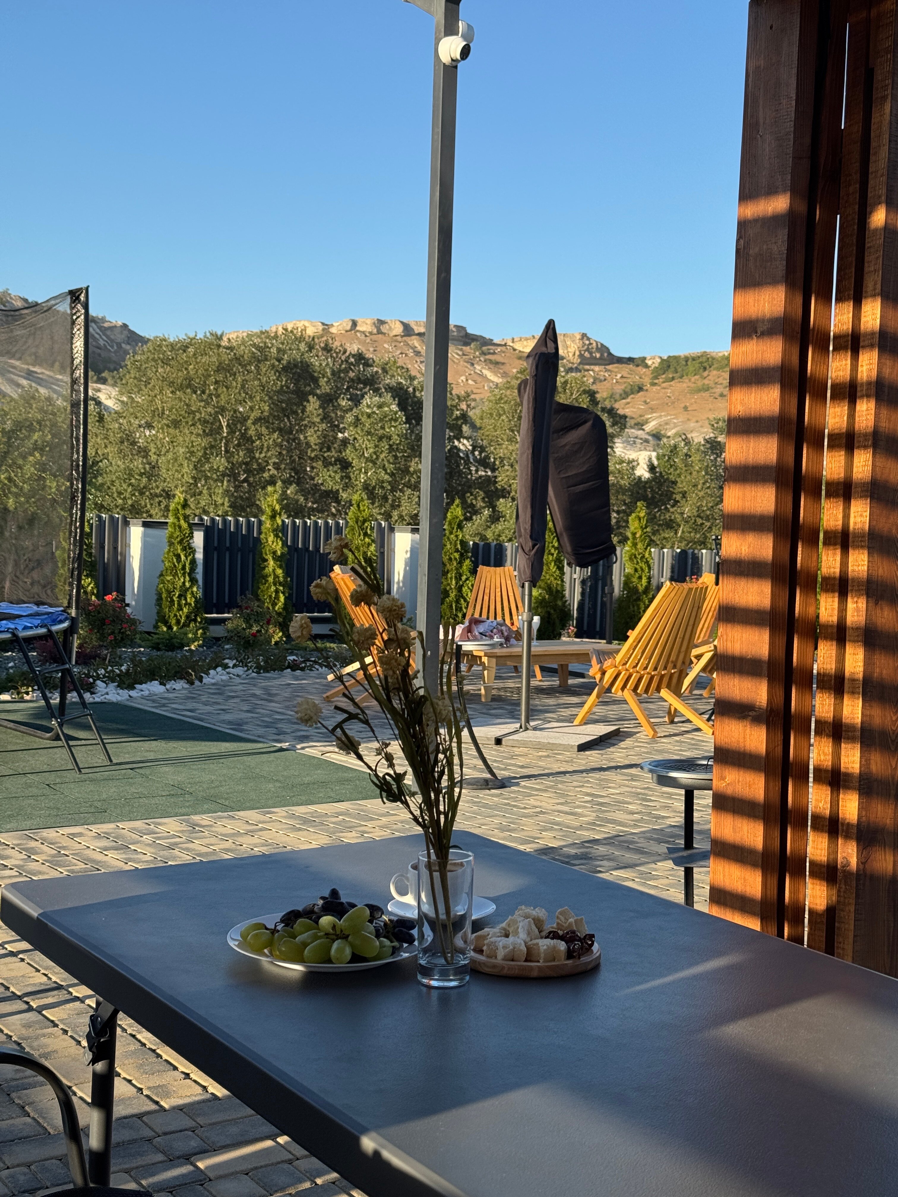 Фото Шелест