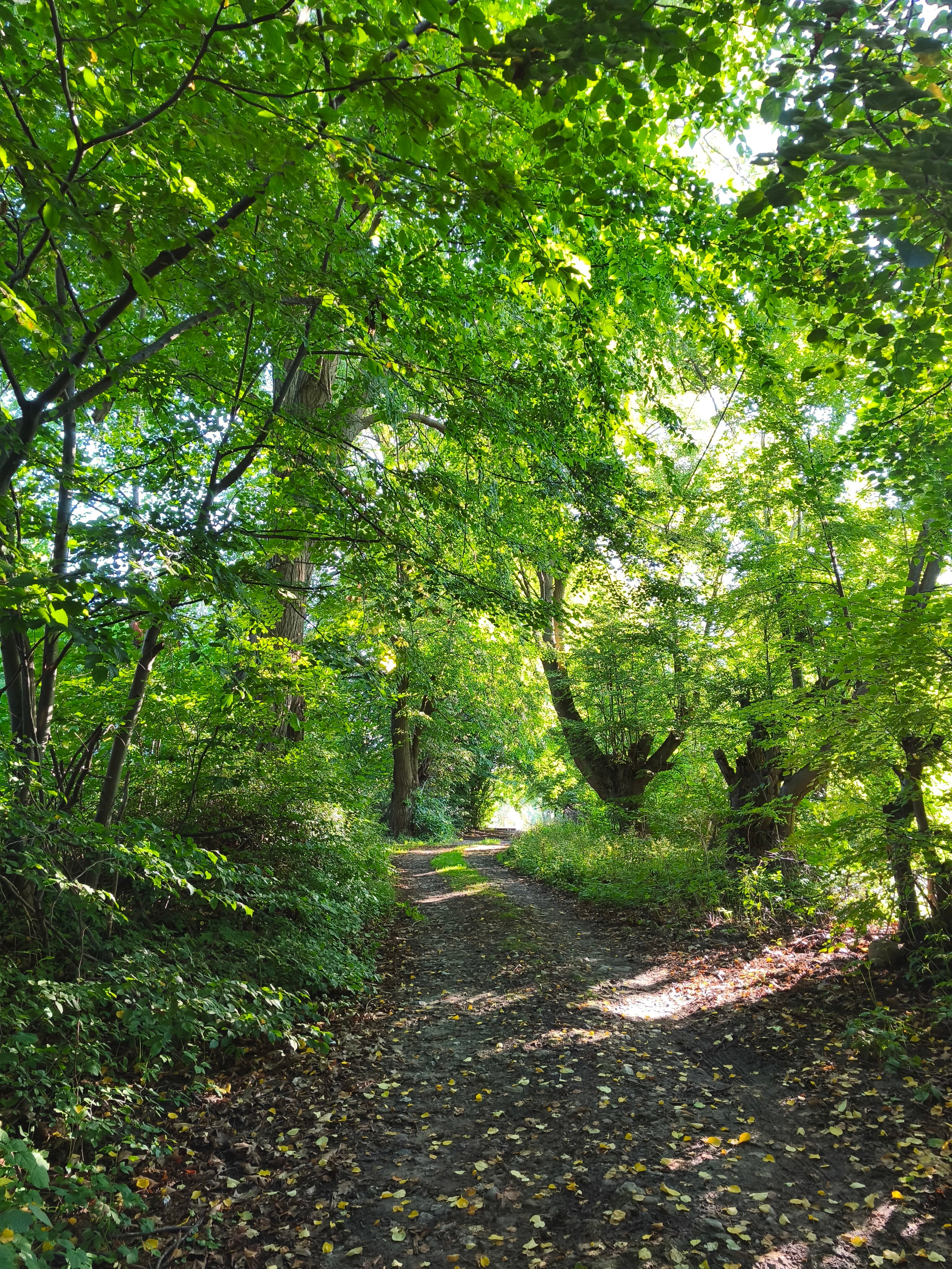 Фото Дикий берег