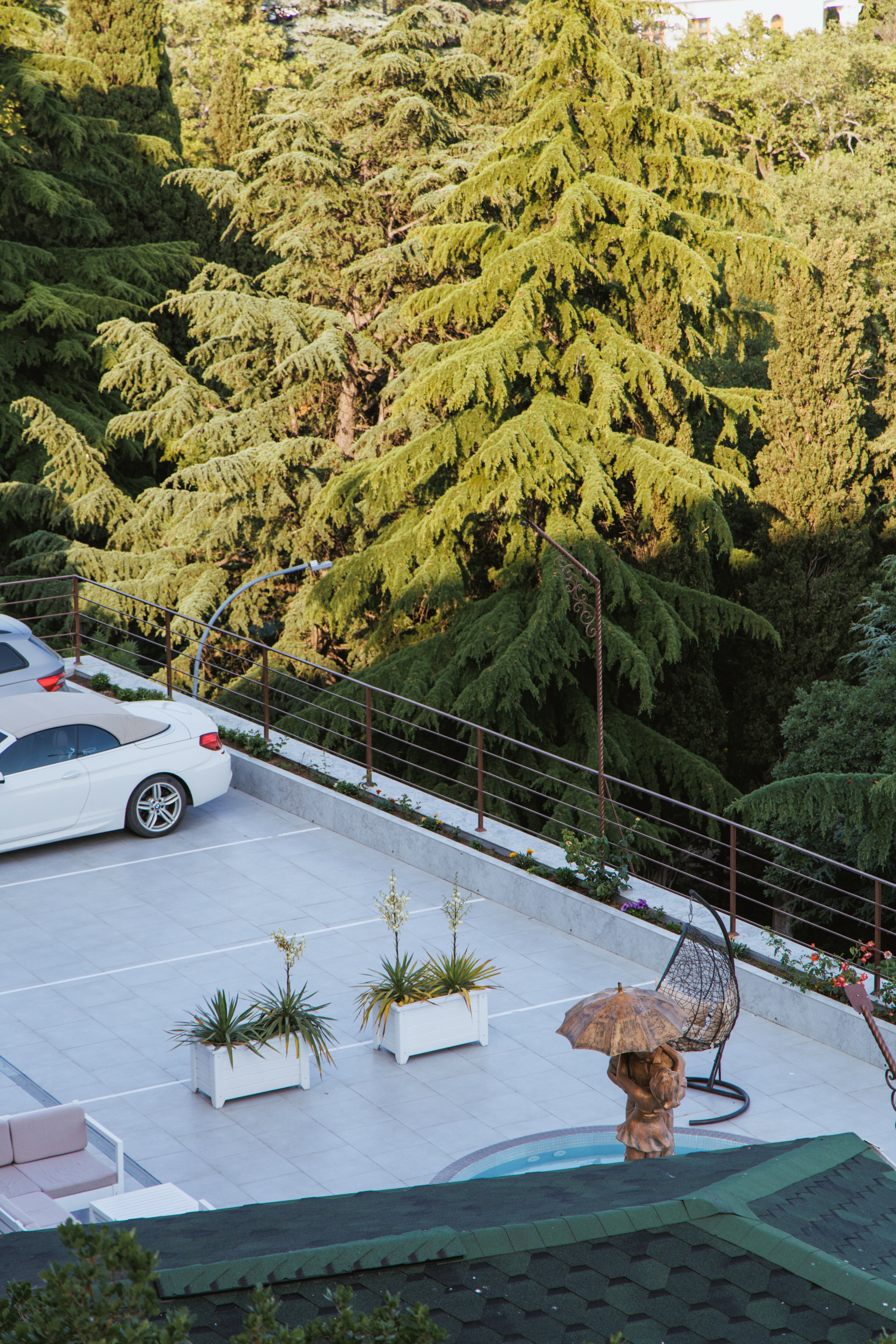 Фото Вилла Виктория