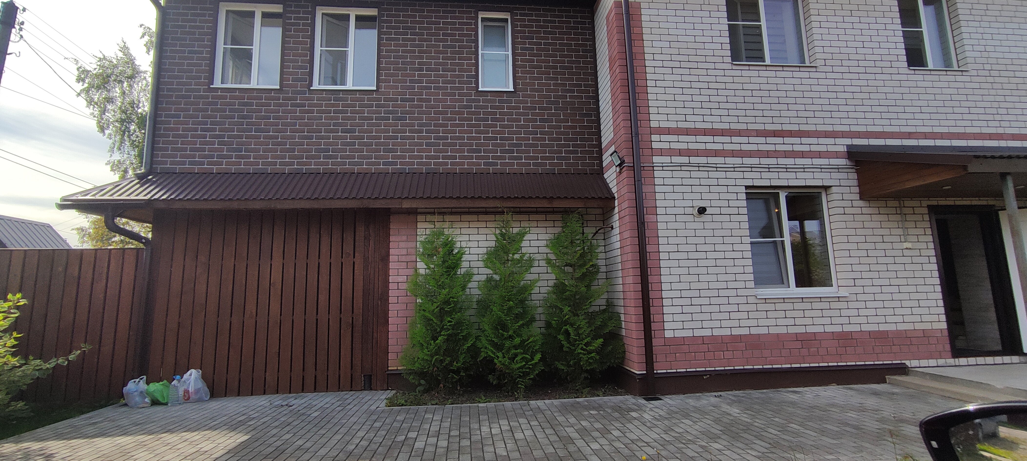 Фото Горыныч