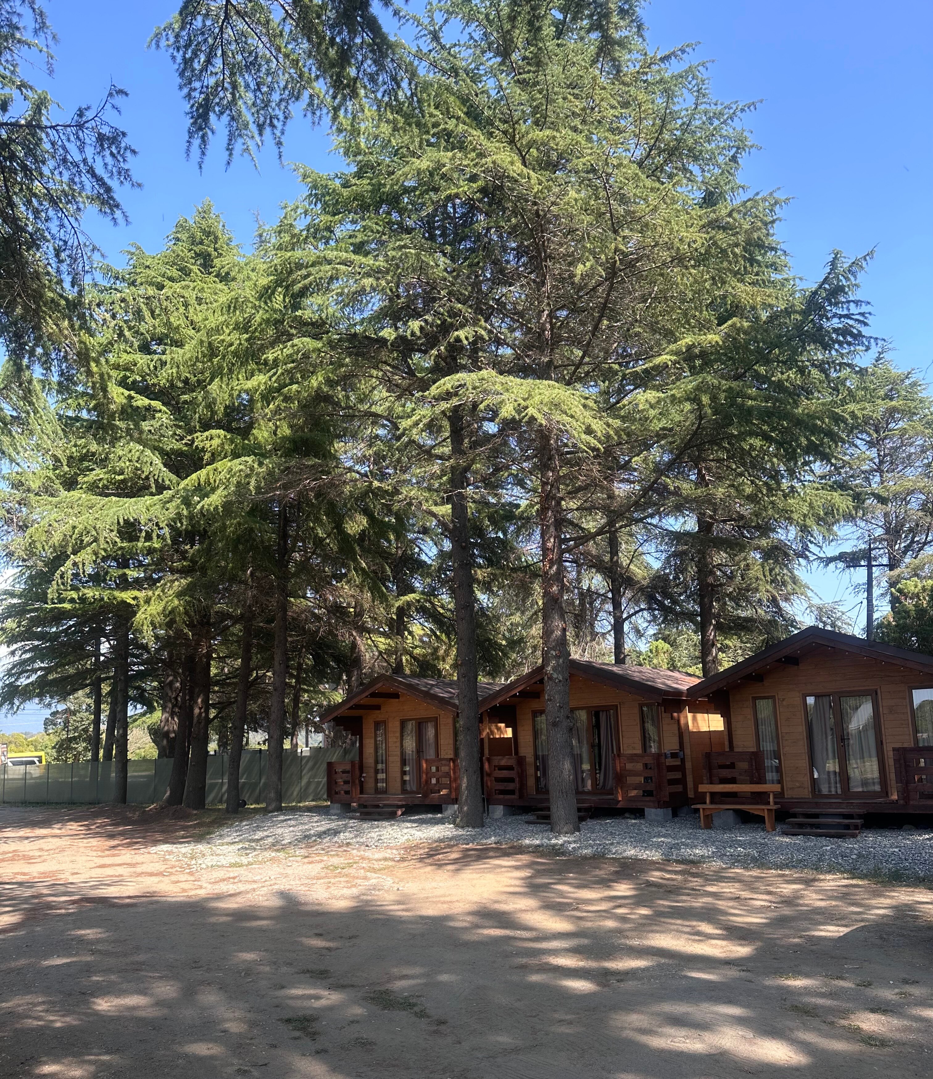 Фото Эко-отель Кедровый