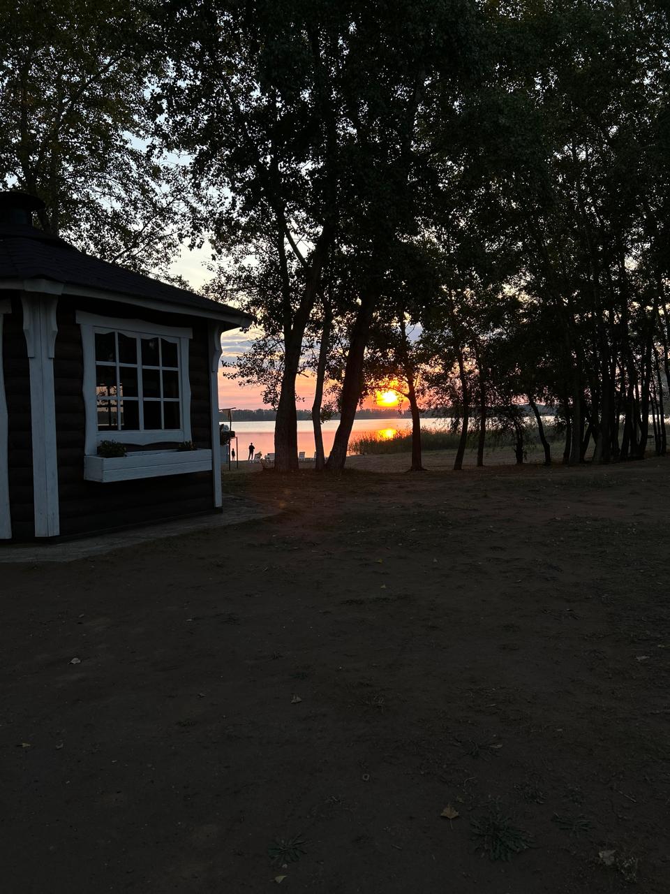 Фото Лаванда