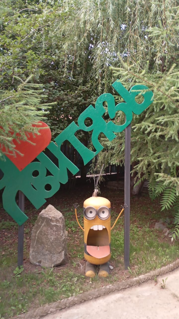 Фото Ромашка-Витязь