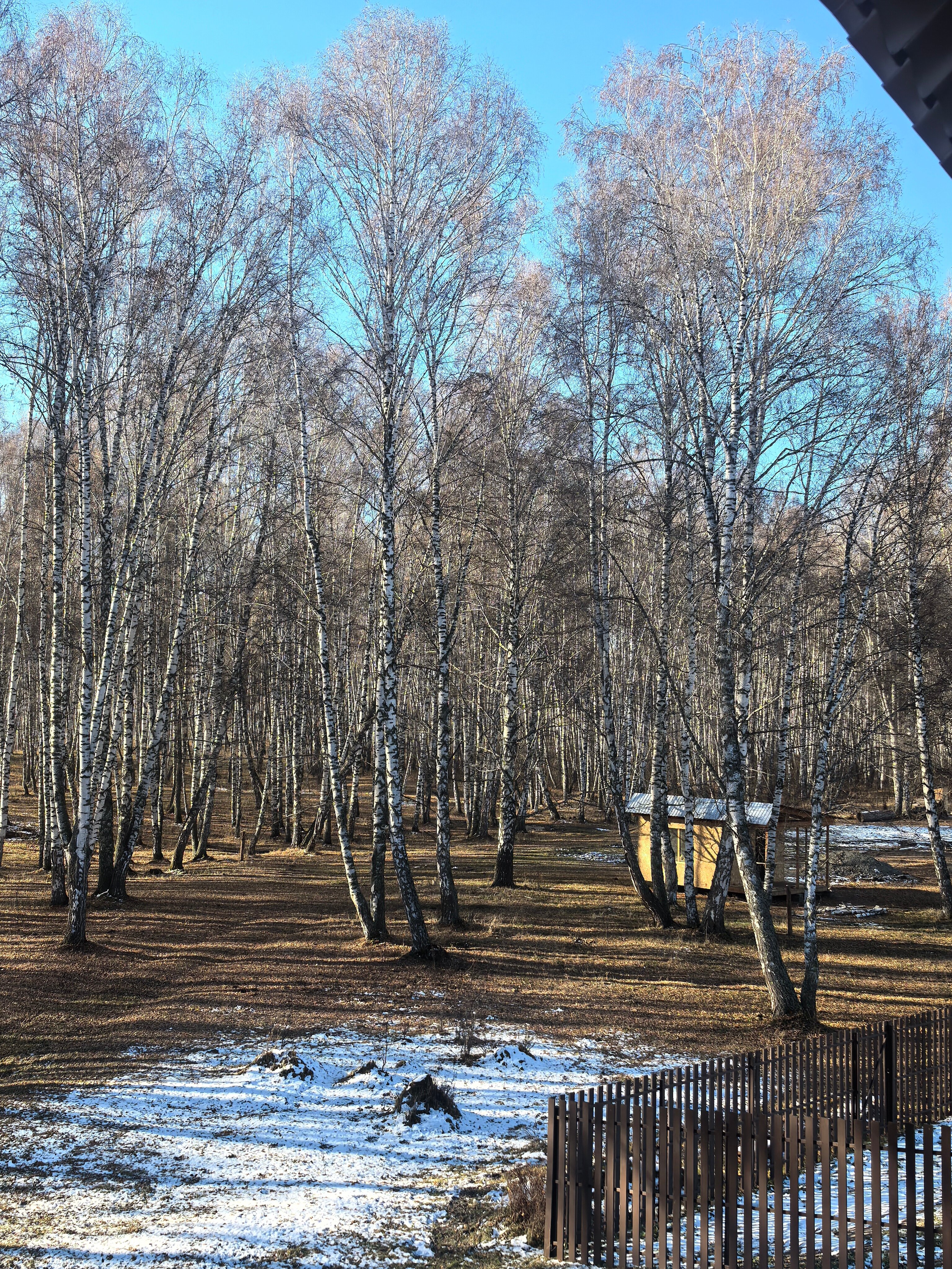 Фото Благодать