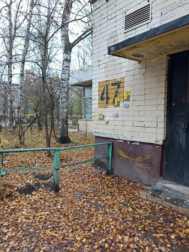 Parcel automat Ozon Box, Yaroslavl, photo